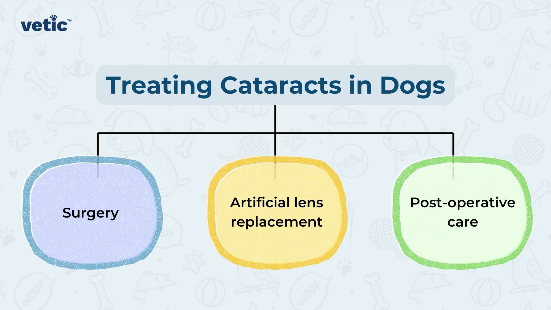 The image is an informative graphic titled “Treating Cataracts in Dogs,” presented by ‘vetic’. It features a light blue background with faint, white silhouettes of various dog breeds and bones scattered throughout. The central focus is on three horizontally aligned, overlapping circles, each with a different color and text. The leftmost circle is blue with the word “Surgery,” the middle circle is yellow with the text “Artificial lens replacement,” and the rightmost circle is green with the phrase “Post-operative care.” These circles are interconnected, suggesting that they represent a sequence of steps or components involved in the treatment process for cataracts in dogs.