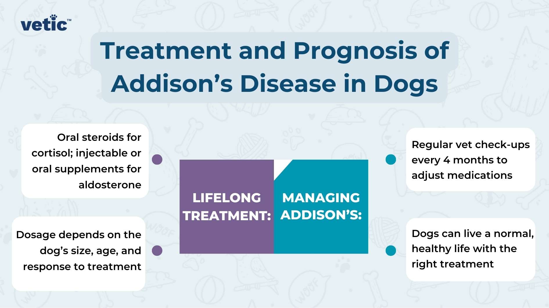 The image is an informative graphic about “Treatment and Prognosis of Addison’s Disease in Dogs,” presented by ‘vetic’. The background is a gradient of blue shades, with white and yellow text, and decorative elements in purple and green. On the left side, there are three bullet points under the heading “LIFELONG TREATMENT:” which are as follows: Oral steroids for cortisol; injectable or oral supplements for aldosterone Dosage depends on the dog’s size, age, and response to treatment Regular vet check-ups every 4 months to adjust medications On the right side, there is a green decorative element with text that reads “MANAGING ADDISON’S.” Below this are two bullet points: Dogs can live a normal, healthy life with the right treatment Regular vet check-ups every 4 months to adjust medications