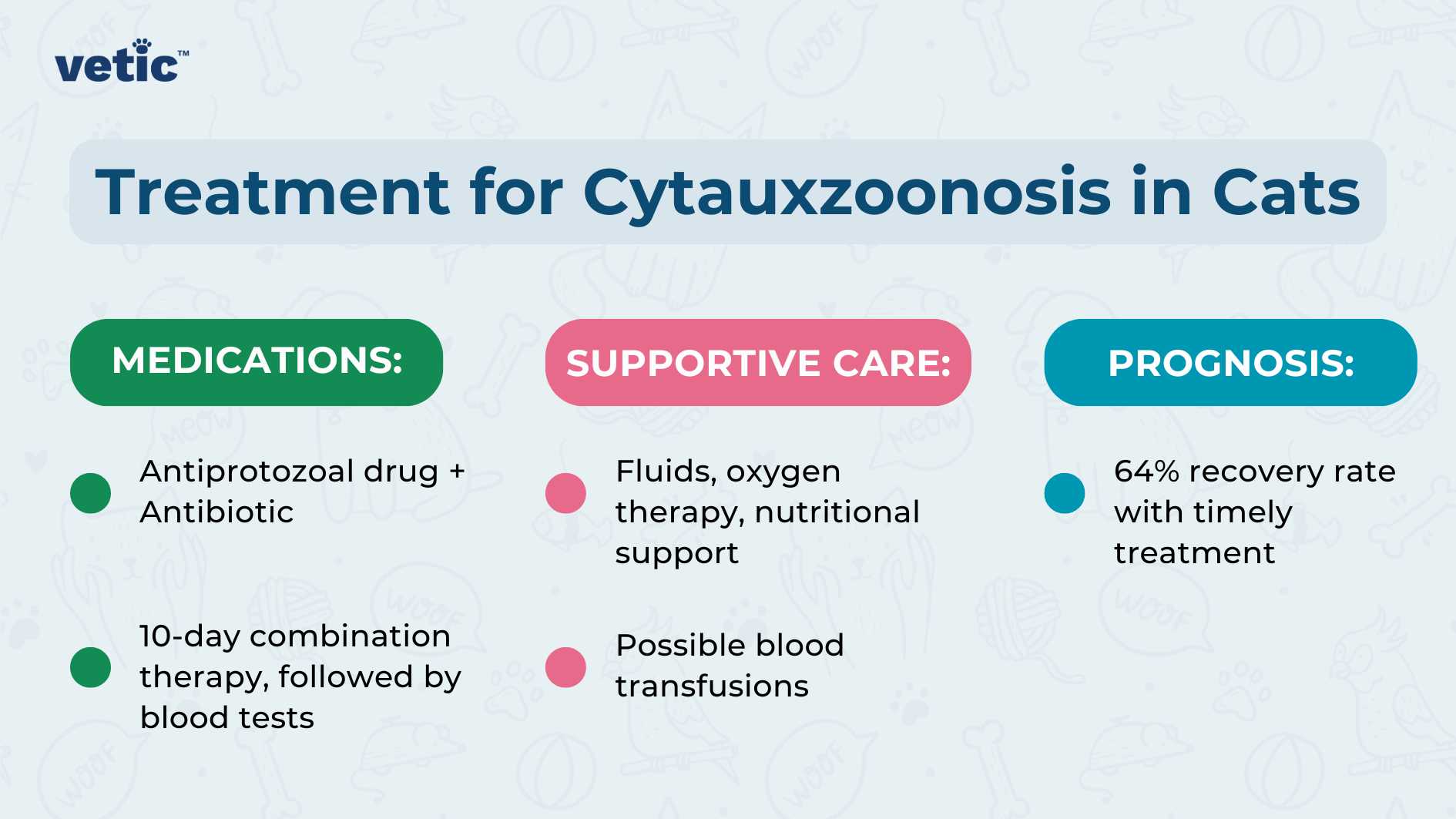 The image is a graphical representation, likely an informational card or poster, detailing the treatment for Cytauxzoonosis in cats. It is divided into three main sections with distinct headings: “Medications,” “Supportive Care,” and “Prognosis.” Each section has a corresponding icon: a pill bottle for Medications, a heart for Supportive Care, and a checkmark for Prognosis. Medications: Icon: Pill bottle. Text: “Antiprotozoal drug + Antibiotic. 10-day combination therapy, followed by blood tests.” Supportive Care: Icon: Heart. Text: “Fluids, oxygen therapy, nutritional support, possible blood transfusions.” Prognosis: Icon: Checkmark. Text: “64% recovery rate with timely treatment.” The background color of each section varies from light blue to green to purple respectively. The title at the top reads “Treatment for Cytauxzoonosis in Cats” in bold white letters on a dark blue background. The logo ‘vetic’ appears at the top left corner suggesting that this might be produced by an organization or company named ‘vetic.’