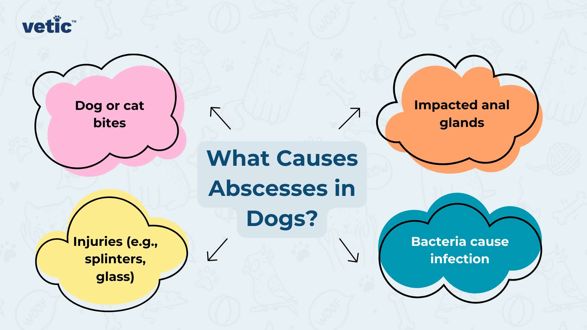 The image is an informative graphic titled “What Causes Abscesses in Dogs?” It features a central title surrounded by four colorful, cloud-shaped bubbles, each containing a different cause of abscesses in dogs. The background is a soft blue, creating a calming and professional appearance. At the top center of the image is the logo of ‘vetic.’ Dog or Cat Bites: The first bubble, colored pink and located on the top left, states “Dog or cat bites.” This indicates that bites from other animals are a common cause of abscesses in dogs. Impacted Glands: The second bubble, on the top right and colored light blue, reads “Impacted glands.” This suggests that when a dog’s glands become blocked or impacted, it can lead to the formation of abscesses. Injuries (e.g., Splinters, Glass): Below to the left is a yellow bubble with the text “Injuries (e.g., splinters, glass).” This highlights that physical injuries, such as those caused by splinters or glass, can result in abscesses. Bacteria Cause Infection: Lastly, there’s a dark blue bubble on the bottom right that says “Bacteria cause infection.” This emphasizes that bacterial infections are a primary cause of abscess formation in dogs.