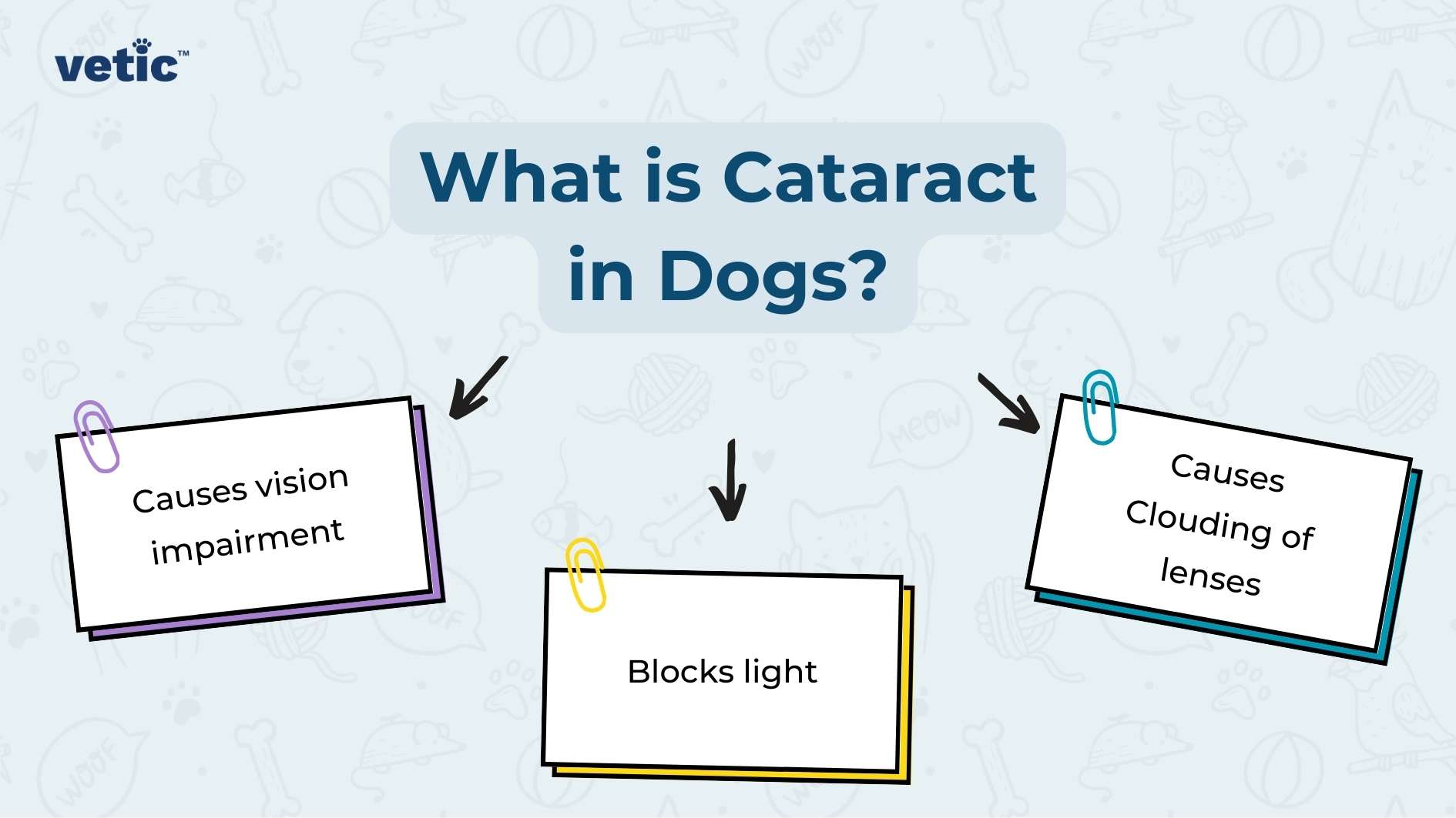 The image is an informative graphic titled “What is Cataract in Dogs?” set against a light blue background with faint doodles of bones, paw prints, and dog silhouettes. The title is at the top center in bold white letters inside a dark blue banner. Below the title, there are three interconnected rectangular frames with rounded corners, each containing a piece of information about cataracts in dogs. The frame on the left is purple with white text stating “Causes vision impairment,” connected by a line to a central yellow frame that reads “Blocks light.” Another line connects this to the right frame, which is teal with white text saying “Causes Clouding of lenses.” Each frame has a paperclip graphic at the top as if pinned onto the background.