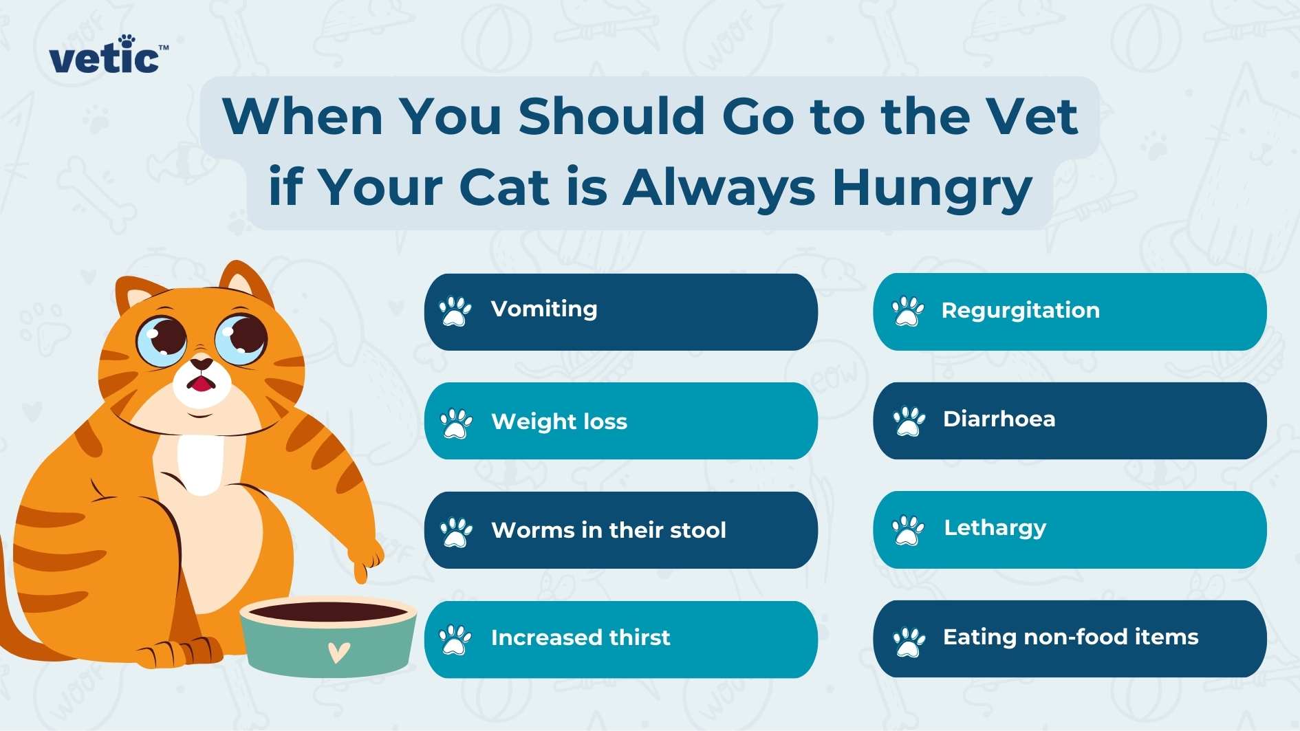 The image is an infographic titled “When You Should Go to the Vet if Your Cat is Always Hungry” from a source named ‘vetic’. It features a graphic of an orange and white cat with black stripes, wearing glasses and looking at a bowl with a checkmark. The cat appears concerned or thoughtful. Surrounding the cat are two columns of symptoms that might warrant a vet visit, each inside blue rectangular shapes. Left Column: Vomiting Weight loss Worms in their stool Increased thirst Right Column: Regurgitation Diarrhoea Lethargy Eating non-food items