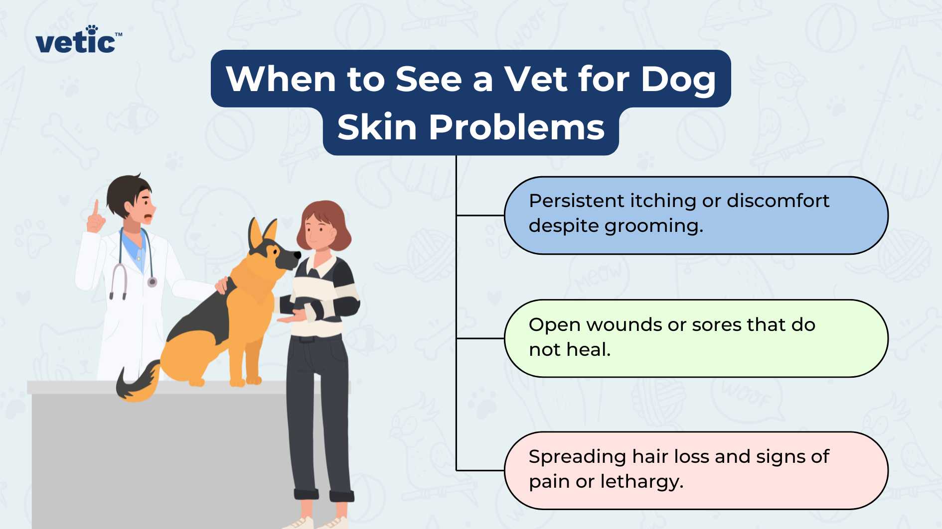 The image is an informative graphic titled “When to See a Vet for Dog Skin Problems,” emphasizing the importance of regular grooming for dogs and identifying when professional veterinary care is necessary. The left side of the image features the ‘Vetic’ logo, which is stylized with a blue and green color scheme, incorporating a paw print design into the letter ‘V’. Below this logo, there’s an illustration of a veterinarian in a white coat standing next to a German Shepherd dog, while on the right side, there’s an illustration of a woman holding what appears to be a grooming brush. Both human figures are depicted with neutral expressions and are standing against an abstract background with soft edges that blend from white to light blue. The central part of the image contains bold text stating “When to See a Vet for Dog Skin Problems,” followed by three bullet points outlining specific symptoms that indicate a need for veterinary attention: “Persistent itching or discomfort despite grooming” - This suggests that if a dog continues to itch or show signs of discomfort even after regular grooming, it may be time to consult a vet. “Open wounds or sores that do not heal” - This highlights the importance of seeking professional care if a dog has wounds or sores that aren’t healing properly. “Spreading hair loss and signs of pain or lethargy” - This indicates that significant hair loss, along with symptoms of pain or lethargy, are serious signs that require veterinary intervention. These pointers are set against blocks of color—orange, teal, and purple respectively—to draw attention. The overall design is clean with ample whitespace balancing the elements, making it visually appealing and easy to read.