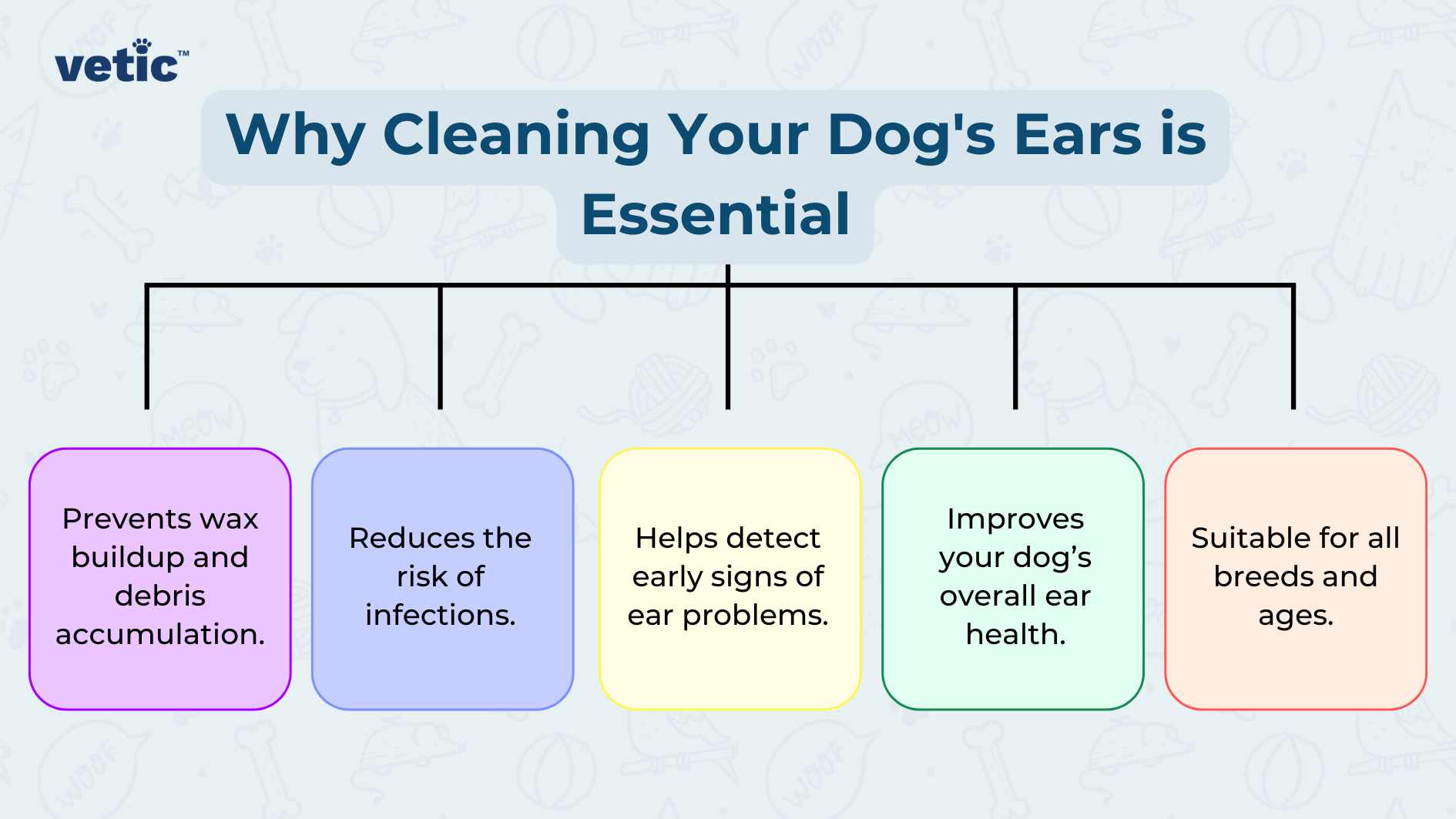 The image is a colorful infographic with a title and five key points explaining why cleaning a dog’s ears is essential. The title at the top in bold letters reads “Why Cleaning Your Dog’s Ears is Essential,” set against a light blue background. Below the title, there are five colored boxes, each connected to the title by a line, resembling a flowchart or organizational chart. Purple Box (Left): Text: “Prevents wax buildup and debris accumulation.” Message: Regular ear cleaning helps to prevent the buildup of wax and debris. Blue Box (Second from Left): Text: “Reduces the risk of infections.” Message: Cleaning your dog’s ears regularly reduces the risk of infections. Yellow Box (Center): Text: “Helps detect early signs of ear problems.” Message: Regular cleaning helps in early detection of potential ear problems. Green Box (Second from Right): Text: “Improves your dog’s overall ear health.” Message: Maintaining clean ears contributes to your dog’s overall ear health. Pink Box (Right): Text: “Suitable for all breeds and sizes.” Message: Ear cleaning is beneficial for dogs of all breeds and sizes.