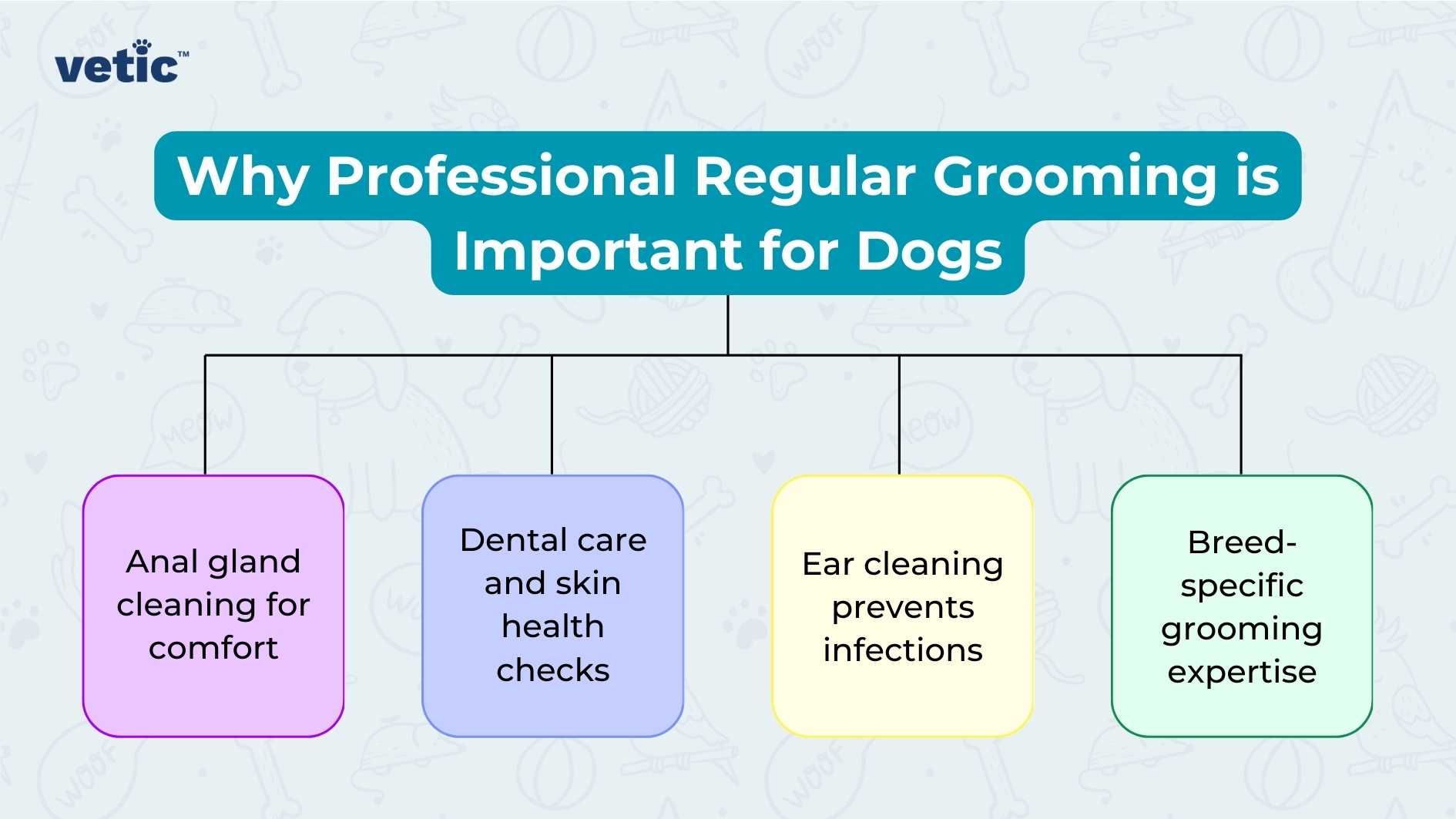 The image is a colorful infographic emphasizing the importance of “regular grooming for dogs” and includes four key pointers, each within its own colored box. The top of the image features the title “Why Professional Regular Grooming is Important for Dogs” in bold, white font against a blue background. Below this title are four boxes with rounded corners, aligned horizontally and connected by lines, suggesting a flow or relationship between the concepts. Starting from the left, the first box is purple and highlights “Anal gland cleaning for comfort,” indicating that this is an essential aspect of dog grooming for the animal’s comfort. The second box is pink and discusses “Dental care and skin health checks,” suggesting that regular grooming includes monitoring these vital health aspects. The third box, in light blue, states “Ear cleaning prevents infections,” pointing out a specific health benefit of grooming related to ear care. The fourth and final box is green and mentions “Breed-specific grooming expertise,” implying that professional groomers offer services tailored to different dog breeds. Each box contains an icon representing its respective pointer: a droplet for anal gland cleaning, a toothbrush for dental care, an ear for ear cleaning, and a comb for breed-specific expertise. The design elements include a clean layout with ample white space around each colored box to draw attention to them individually. The connecting lines create an easy-to-follow path through the different aspects of professional dog grooming mentioned in the infographic. In addition to these elements, there’s also the Vetic logo positioned at the top left corner of the image. It consists of stylized lettering with ‘vetic’ written in lowercase letters. The ‘v’ has an elongated tail that underlines part of ‘vetic,’ giving it a distinctive look.