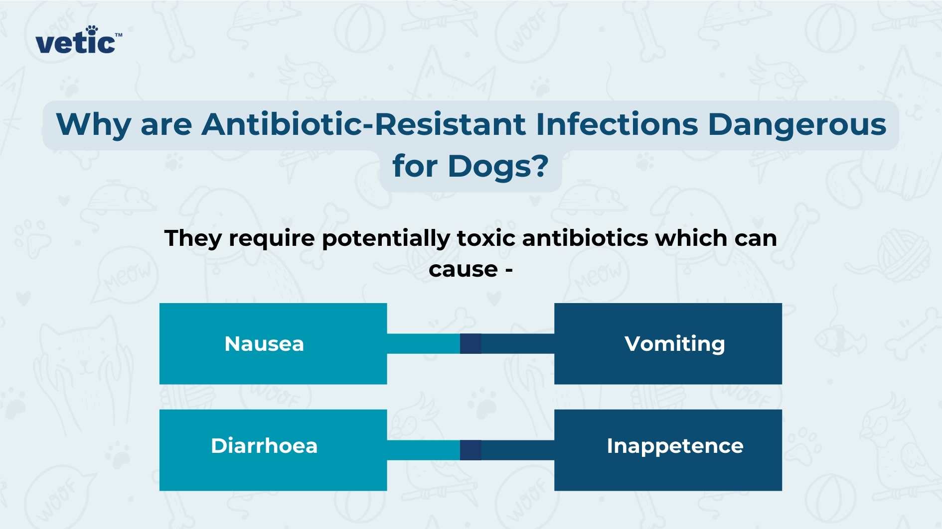 The image is a graphical representation, primarily in shades of blue and white, addressing the dangers of antibiotic-resistant infections in dogs. The top portion of the image contains text that reads “Why are Antibiotic-Resistant Infections Dangerous for Dogs?” Below this headline, there is an explanation that states “They require potentially toxic antibiotics which can cause -”. This leads to two horizontal, interconnected blocks that list side effects. The left block lists “Nausea” and “Diarrhoea,” while the right block lists “Vomiting” and “Inappetence.” The background is a gradient of light to dark blue at the bottom, and there’s a watermark or logo on the top right corner that reads “vetic.”