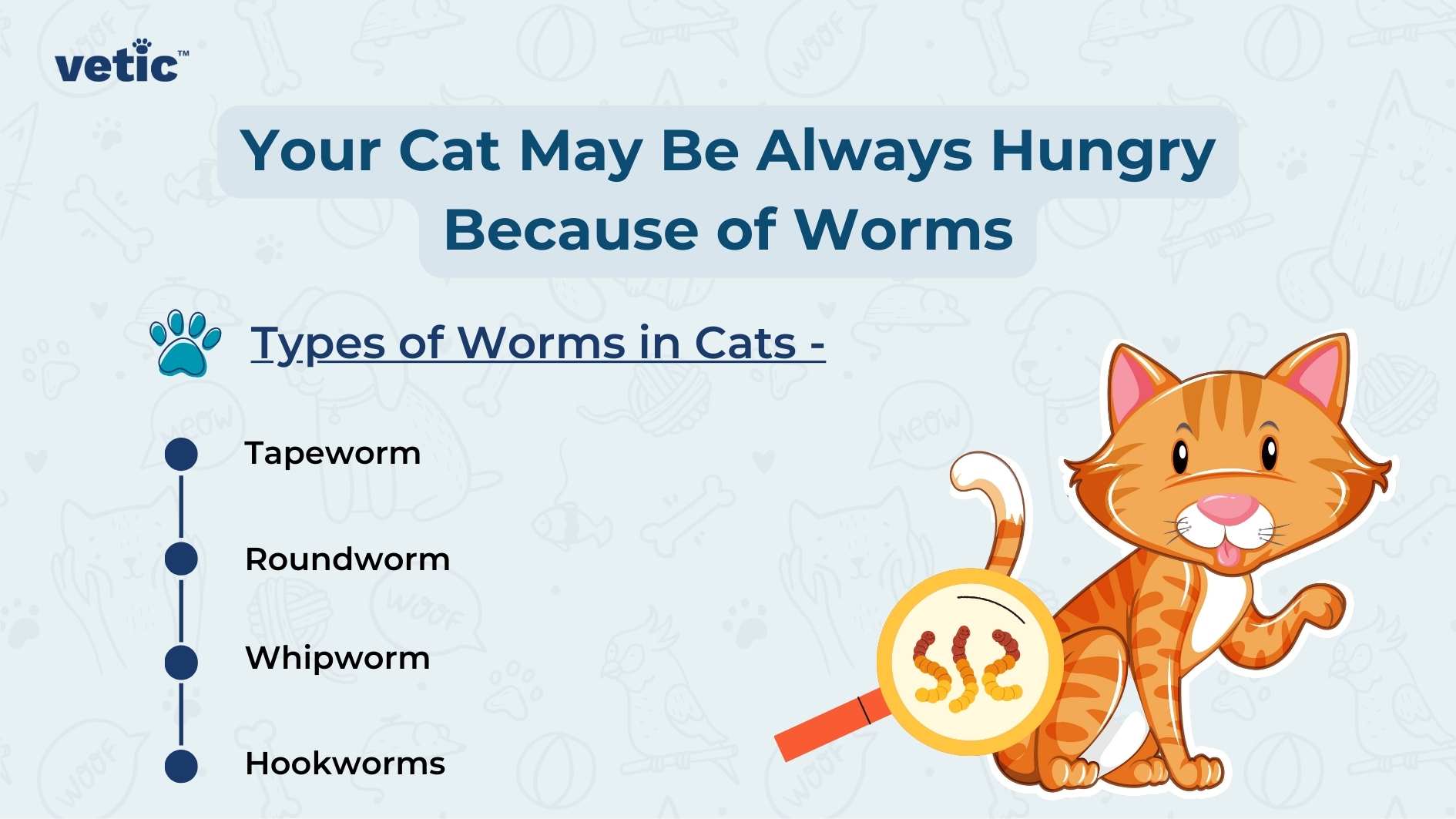 The image features a bright and colorful graphic with text and illustrations. At the top, there is a blue banner with the word “vetic” in white letters. Below this, in large, bold text, it reads “Your Cat May Be Always Hungry Because of Worms.” There are four bullet points listed under the heading “Types of Worms in Cats -” which are as follows: Tapeworm, Roundworm, Whipworm, and Hookworm. To the right side of these bullet points is an illustration of an orange cat holding a magnifying glass that contains cartoon representations of worms. The cat appears to be licking its lips.