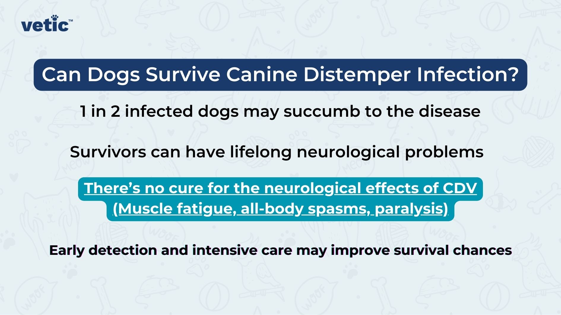 The image is an informational graphic from "vetic™" about canine distemper infection in dogs. The background is light blue with faint illustrations of various pet-related items like bones, paw prints, and toys. The main content is organized into text blocks. Text in the image: At the top left corner: "vetic™" (logo) The main heading in the center: "Can Dogs Survive Canine Distemper Infection?" (white text on a dark blue background) Below the heading in black text: "1 in 2 infected dogs may succumb to the disease" "Survivors can have lifelong neurological problems" "There’s no cure for the neurological effects of CDV (Muscle fatigue, all-body spasms, paralysis)" (highlighted with a teal background) At the bottom: "Early detection and intensive care may improve survival chances"