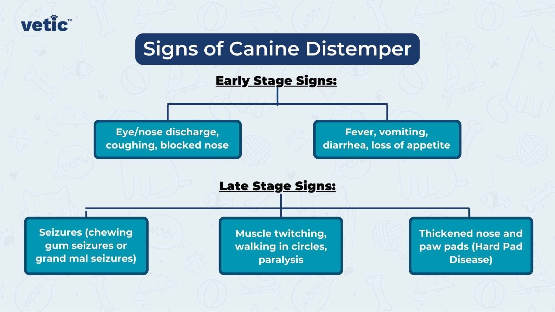 Canine Distemper: Signs and Symptoms of Distemper in Dogs