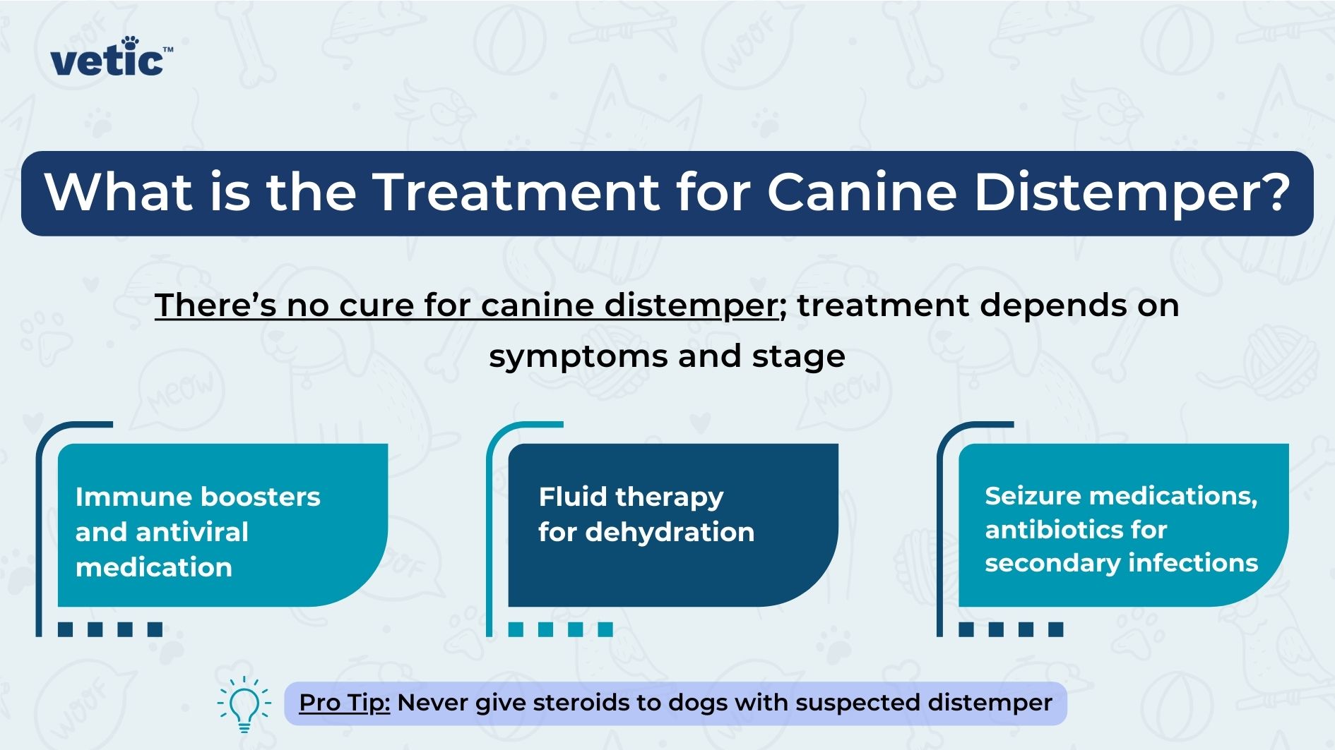 You Uploaded image I will attach an image with this prompt. I need you to describe the image including the OCR text in the minutest detail. Next, i need you to give me a short description or takeaway message that people can receive from the image. Copilot The image is an informational graphic from "Vetic" about the treatment for canine distemper. The background is light blue with faint illustrations of various animals and pet-related items such as bones, paw prints, and balls. The main text is in dark blue and black, with some highlighted sections in white text on blue backgrounds. Text in the image: "What is the Treatment for Canine Distemper?" (main heading) "There’s no cure for canine distemper; treatment depends on symptoms and stage" (statement under the heading) "Immune boosters and antiviral medication" (first section with a blue background) "Fluid therapy for dehydration" (second section with a blue background) "Seizure medications, antibiotics for secondary infections" (third section with a blue background) At the bottom, there is a "Pro Tip" in a light blue box with a light bulb icon: "Pro Tip: Never give steroids to dogs with suspected distemper"