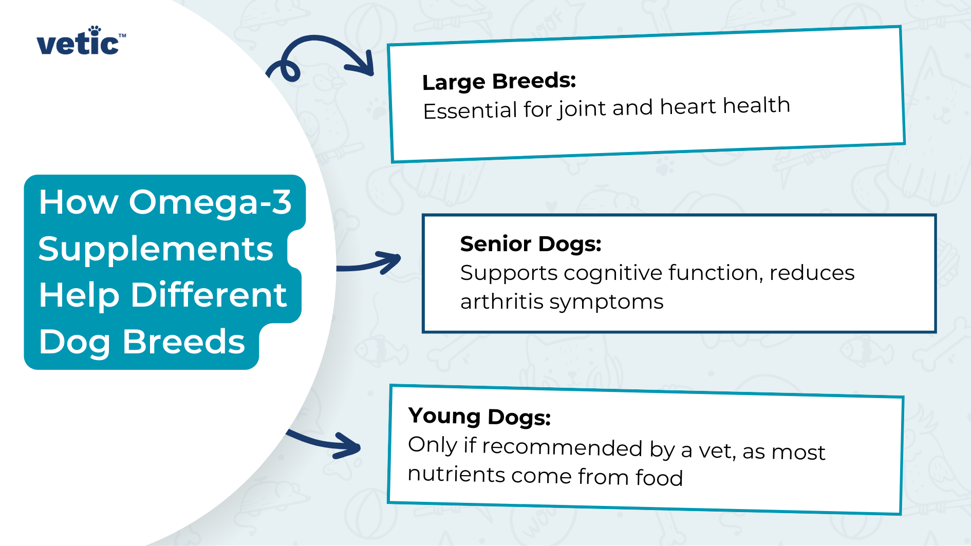 The image is an informational graphic from "vetic" that explains how Omega-3 supplements benefit different dog breeds. The background is light blue with faint illustrations of various animals and pet-related items. The text is divided into three sections, each with a specific focus: Large Breeds: "Essential for joint and heart health" Senior Dogs: "Supports cognitive function, reduces arthritis symptoms" Young Dogs: "Only if recommended by a vet, as most nutrients come from food" The title of the graphic is "How Omega-3 Supplements Help Different Dog Breeds," written in a large, bold font on a teal background. The "vetic" logo is located at the top left corner of the image.