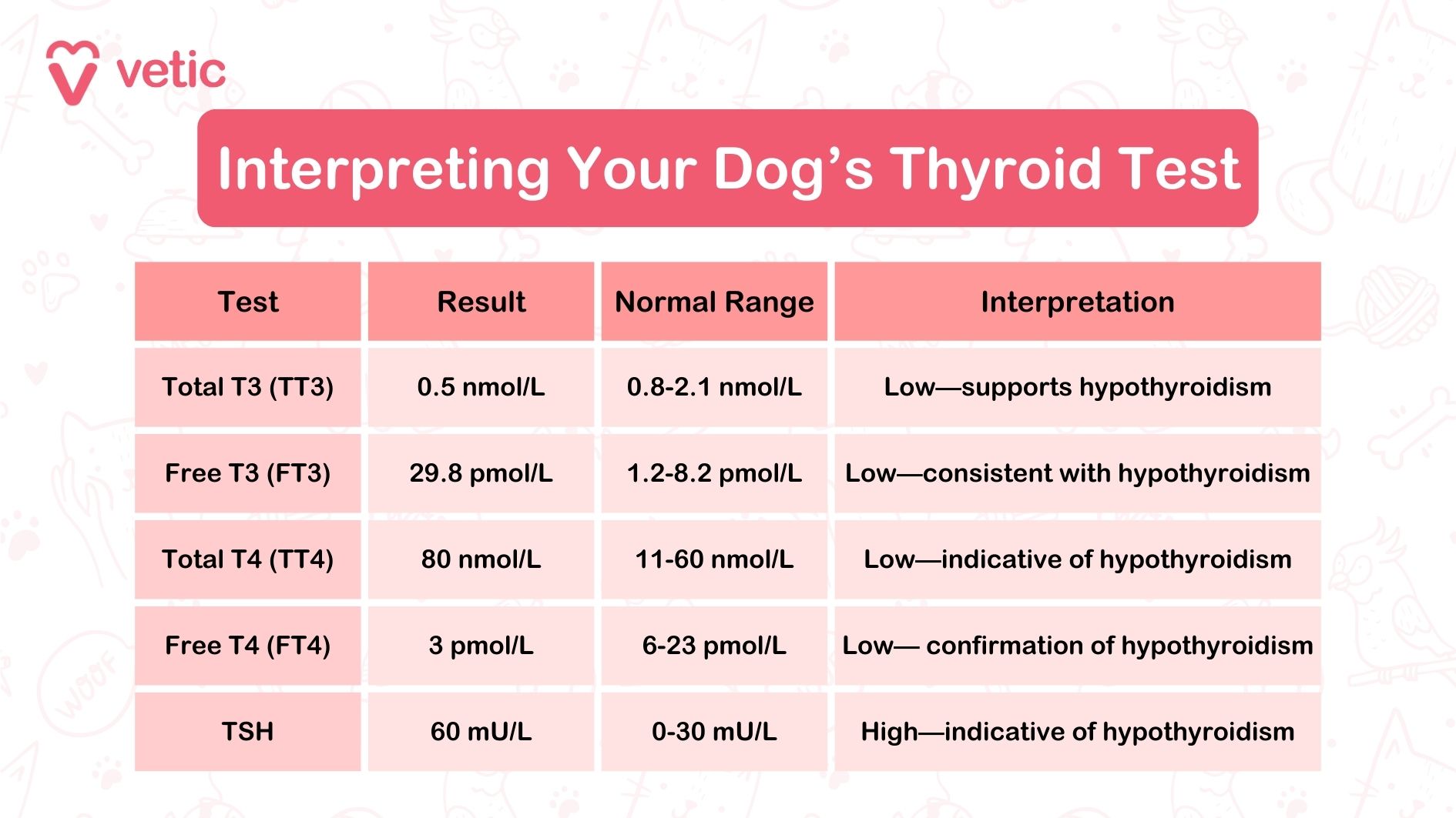 The image is a chart titled "Interpreting Your Dog's Thyroid Test" from a source named "vetic." The chart is divided into four columns: Test, Result, Normal Range, and Interpretation. It lists five different thyroid-related tests along with their results, normal ranges, and interpretations. The tests include Total T3 (TT3), Free T3 (FT3), Total T4 (TT4), Free T4 (FT4), and TSH. Each test result is compared to the normal range, and an interpretation is provided based on whether the result is low or high. OCR Text: Interpreting Your Dog’s Thyroid Test Test: Total T3 (TT3) | Result: 0.5 nmol/L | Normal Range: 0.8-2.1 nmol/L | Interpretation: Low—supports hypothyroidism Test: Free T3 (FT3) | Result: 29.8 pmol/L | Normal Range: 1.2-8.2 pmol/L | Interpretation: Low—consistent with hypothyroidism Test: Total T4 (TT4) | Result: 80 nmol/L | Normal Range: 11-60 nmol/L | Interpretation: Low—indicative of hypothyroidism Test: Free T4 (FT4) | Result: 3 pmol/L | Normal Range: 6-23 pmol/L | Interpretation: Low—confirmation of hypothyroidism Test: TSH | Result: 60 mU/L | Normal Range: 0-30 mU/L | Interpretation: High—indicative of hypothyroidism This image is a guide for pet parents who want to understand and interpret the results of their dog's thyroid test.