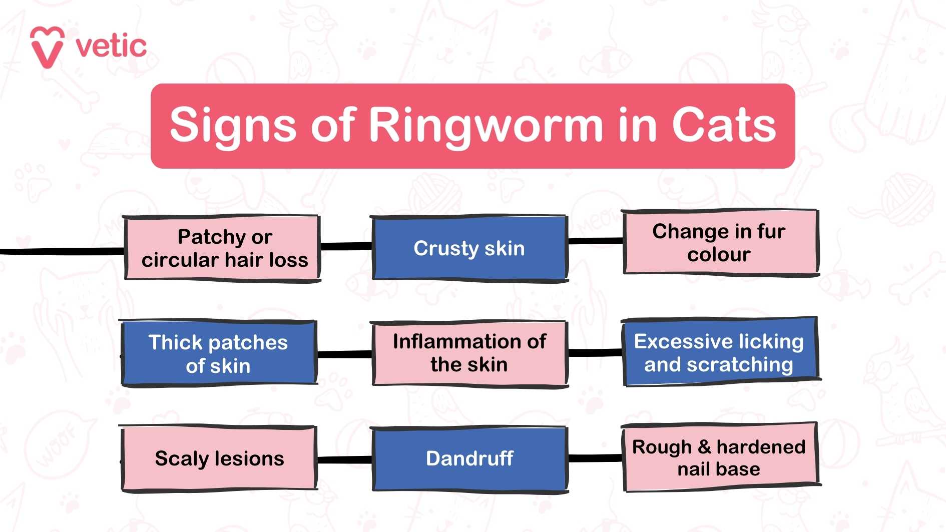 The image is an informational graphic from "vetic" about the signs of ringworm in cats. The background is light with faint illustrations of cats and other pet-related items. At the top left corner, there is a logo for "vetic" consisting of a stylized heart shape and the word "vetic" in pink. The main title in the center reads "Signs of Ringworm in Cats" in white text on a pink background. Below the title, there are several boxes connected by lines, each describing a different sign of ringworm in cats. The boxes are color-coded in pink and blue. The signs listed are: Patchy or circular hair loss Crusty skin Change in fur color Thick patches of skin Inflammation of the skin Excessive licking and scratching Scaly lesions Dandruff Rough & hardened nail base