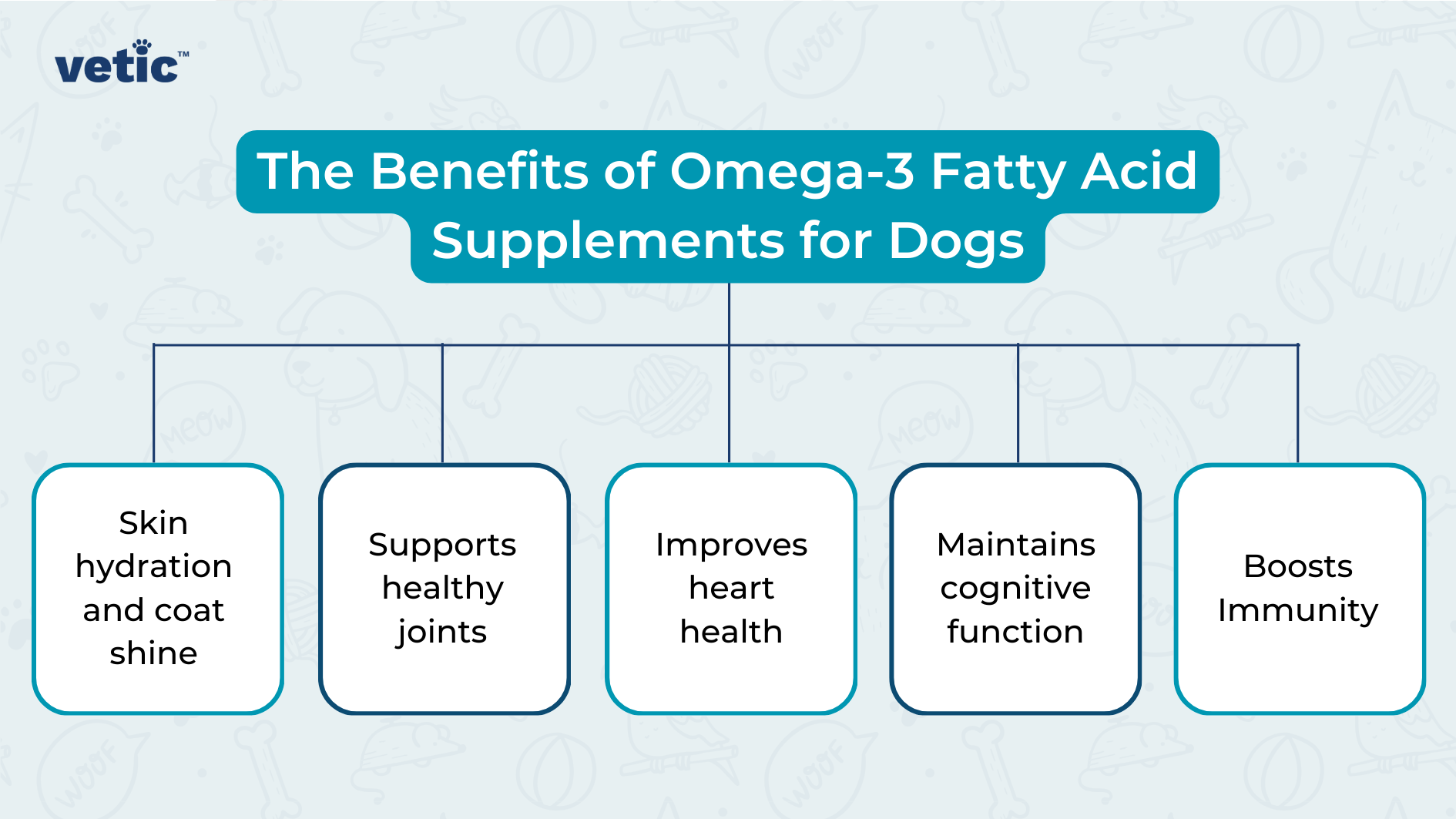 The image is an infographic from "vetic" that highlights the benefits of Omega-3 fatty acid supplements for dogs. The background is light blue with faint illustrations of dog-related items such as bones, paw prints, and balls. The main title is in a teal box and reads, "The Benefits of Omega-3 Fatty Acid Supplements for Dogs." Below the title, there are five connected boxes, each listing a specific benefit: Skin hydration and coat shine Supports healthy joints Improves heart health Maintains cognitive function Boosts immunity The infographic is visually appealing and informative, making it relevant for dog owners interested in improving their pets' health through supplements.