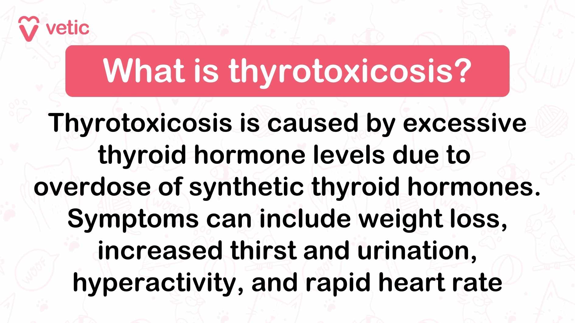 What is Thyrotoxicosis in Dogs? Thyrotoxicosis in dogs is a condition caused by excessive thyroid hormone levels in the blood, often due to thyroid tumors or accidental ingestion of thyroid hormones. Symptoms can include weight loss, increased thirst and urination, hyperactivity, and rapid heart rate