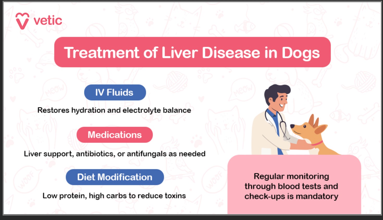 The image is an informative graphic from a blog on "liver disease in dogs" by Vetic. It features a veterinarian examining a dog, with text detailing the treatment options for liver disease in dogs. The background is light with faint illustrations of pet-related items. The main text is in a large pink box, with three treatment options listed below in smaller pink boxes. Each treatment option is accompanied by a brief description. At the bottom, there is a note about the importance of regular monitoring. OCR Text from the Image: Header: "vetic" "Treatment of Liver Disease in Dogs" Treatment Options: "IV Fluids: Restores hydration and electrolyte balance" "Medications: Liver support, antibiotics, or antifungals as needed" "Diet Modification: Low protein, high carbs to reduce toxins" Footer: "Regular monitoring through blood tests and check-ups is mandatory"