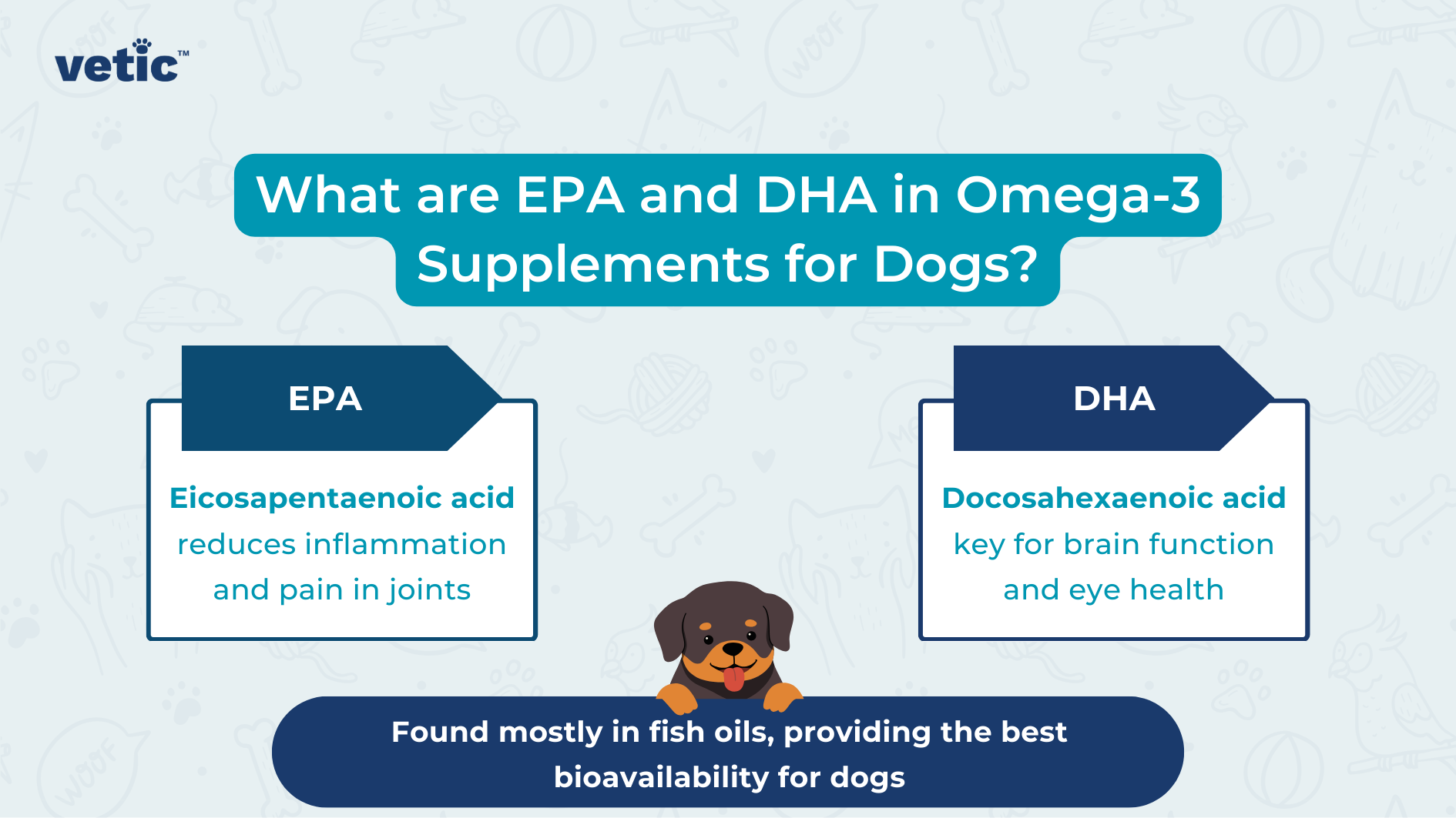 The image is an informational graphic from "vetic" about EPA and DHA in Omega-3 supplements for dogs. The background is light blue with faint illustrations of dog-related items like bones, paw prints, and toys. The main title in the center reads, "What are EPA and DHA in Omega-3 Supplements for Dogs?" Below the title, there are two sections: one for EPA and one for DHA. The EPA section on the left has a blue label and reads: "EPA Eicosapentaenoic acid reduces inflammation and pain in joints" The DHA section on the right has a blue label and reads: "DHA Docosahexaenoic acid key for brain function and eye health" At the bottom of the image, there is a dark blue banner with the text: "Found mostly in fish oils, providing the best bioavailability for dogs" In the center bottom of the image, there is an illustration of a dog with its back turned, looking at the text.