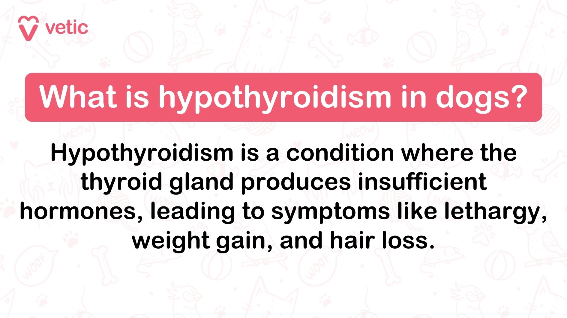 The image is an informational graphic from "vetic" about hypothyroidism in dogs. The background features faint illustrations of various pet-related items such as bones, balls, and paw prints. The main text is prominently displayed in the center of the image. Text in the image: What is hypothyroidism in dogs?" "Hypothyroidism is a condition where the thyroid gland produces insufficient hormones, leading to symptoms like lethargy, weight gain, and hair loss.