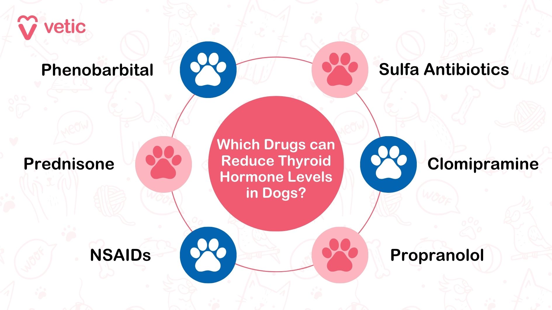 The image is an infographic from "vetic," a veterinary service, as indicated by the logo in the top left corner. The central focus of the infographic is a question inside a pink circle with a paw print icon: "Which Drugs can Reduce Thyroid Hormone Levels in Dogs?" Surrounding this central question are six smaller circles, each containing the name of a drug and a paw print icon. The drugs listed are: Phenobarbital Sulfa Antibiotics Clomipramine Propranolol NSAIDs Prednisone The background of the image features faint illustrations of various pets and pet-related items, such as dogs, cats, birds, and toys, adding a playful and thematic touch to the infographic.