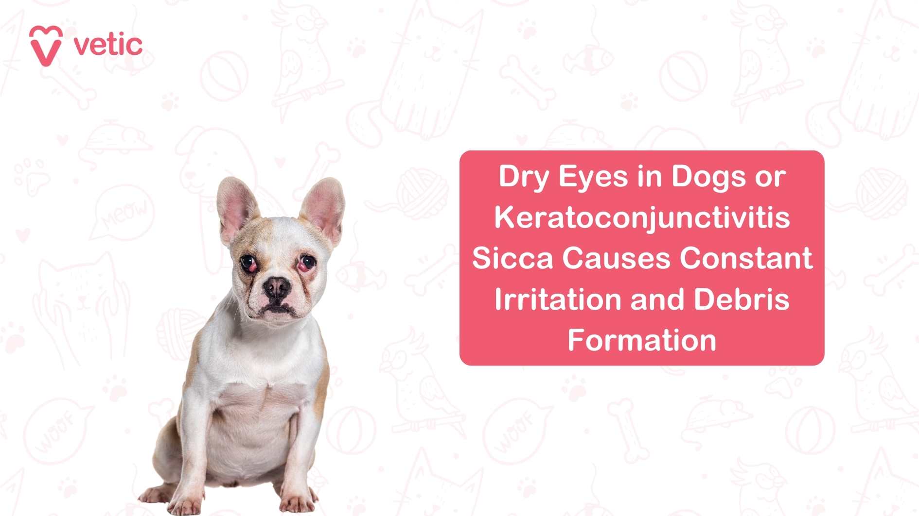 Keratoconjunctivitis Sicca (Dry Eye) in Dogs Dry eye occurs when the tear glands fail to produce enough tears to keep the eyes lubricated. This can lead to chronic irritation and inflammation