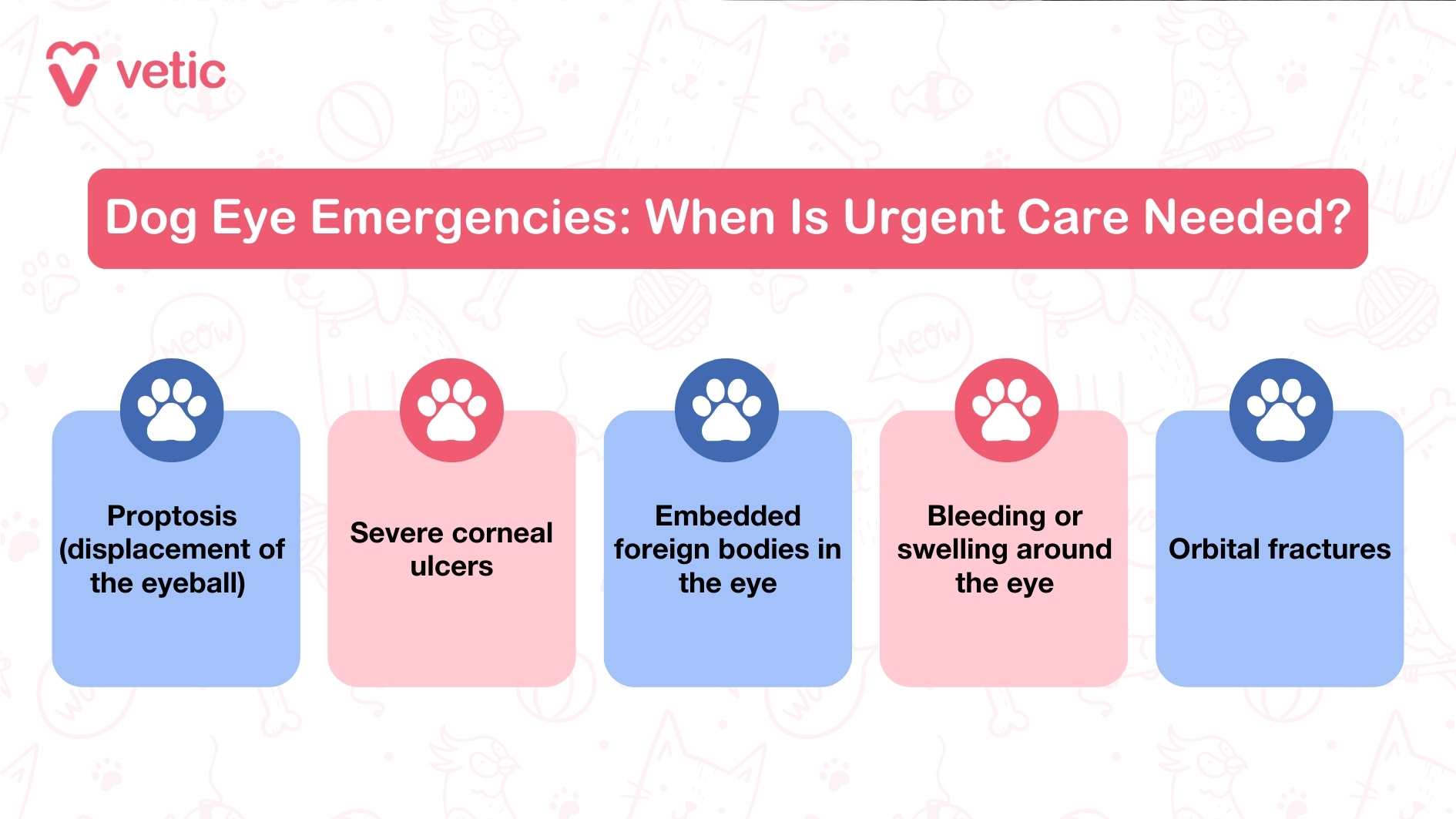 Dog Eye Emergencies: When Is Urgent Care Needed? Proptosis (displacement of the eyeball) Severe corneal ulcers Embedded foreign bodies in the eye Bleeding or swelling around the eye Orbital fractures