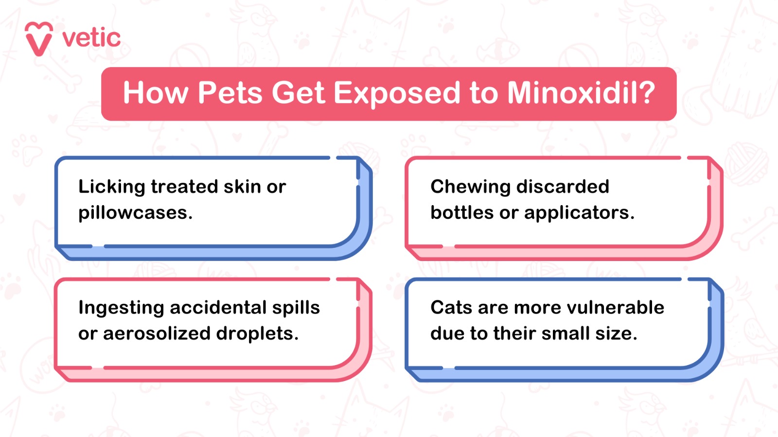 How Pets Get Exposed to Minoxidil Licking treated skin or pillowcases. Chewing discarded bottles or applicators. Ingesting accidental spills or aerosolized droplets. Cats are more vulnerable due to their small size.