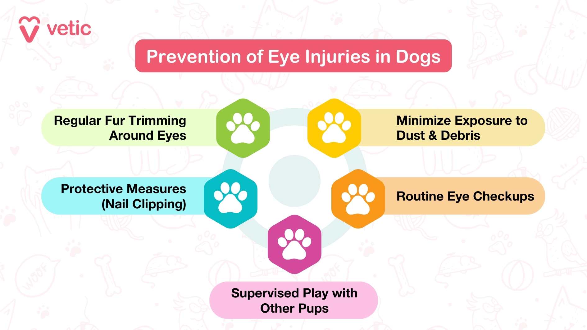 Prevention of Eye Injuries in Dogs Regular Fur Trimming Around Eyes Protective Measures (Nail Clipping) Supervised Play with Other Pups Routine Eye Checkups Minimize Exposure to Dust & Debris