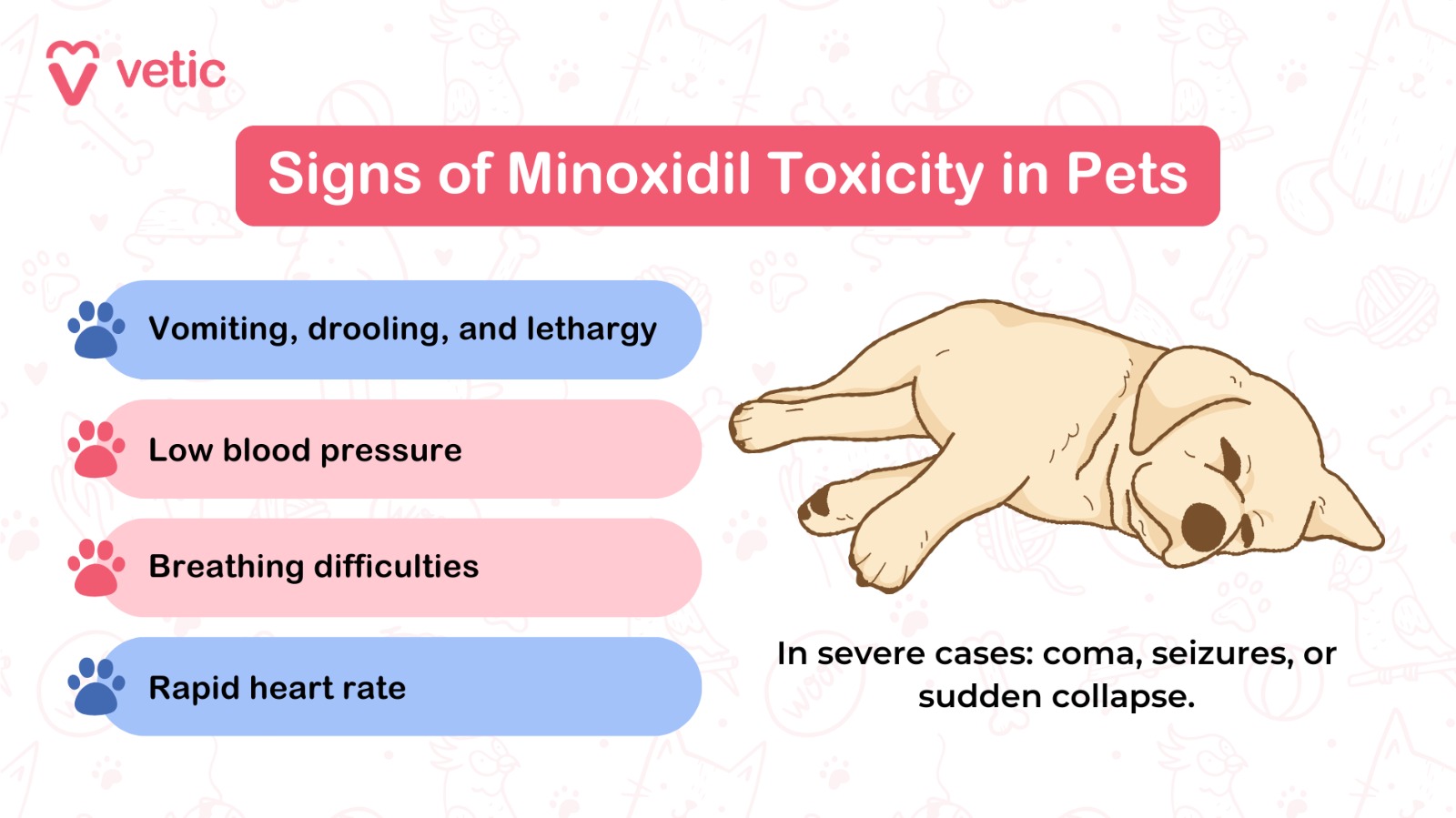 infographic image by Vetic Pet Clinic Signs of Minoxidil Toxicity in Pets Vomiting, drooling, and lethargy Breathing difficulties Low blood pressure Rapid heart rate In severe cases: coma, seizures, or sudden collapse.