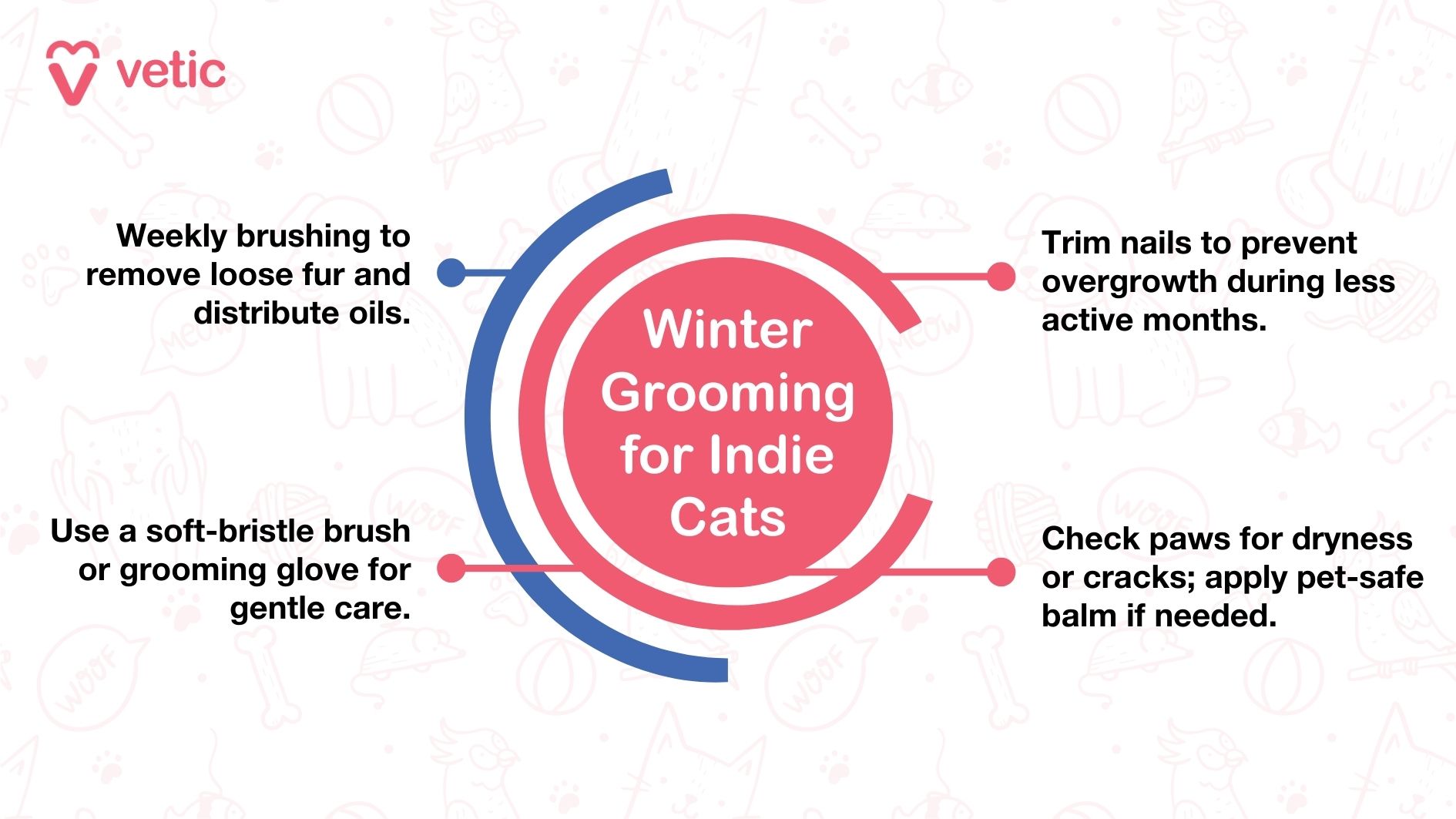 “Winter Grooming for Indie Cats” Weekly brushing to remove loose fur and distribute oils. Use a soft-bristle brush or grooming glove for gentle care. Trim nails to prevent overgrowth during less active months. Check paws for dryness or cracks; apply pet-safe balm if needed. 