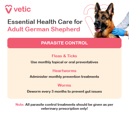 Parasite Control for Adult German Shepherds Flea and Tick Prevention: Administer monthly flea and tick preventives to protect against parasites, especially if your German Shepherd spends a lot of time outdoors. Heartworm Prevention: Continue monthly heartworm prevention to safeguard against this serious, potentially fatal disease. Consistency is key to effective prevention. Deworming: Deworm your German Shepherd every 3–6 months, particularly if they are frequently in areas where parasites may be present. Regular deworming ensures your dog stays healthy and parasite-free. Proper parasite control is essential for your German Shepherd’s overall health and well-being. Parasite Control for German Shepherds Flea and Tick Prevention: Administer monthly flea and tick preventives to protect against parasites, especially if your German Shepherd spends a lot of time outdoors. Heartworm Prevention: Continue monthly heartworm prevention to safeguard against this serious, potentially fatal disease. Consistency is key to effective prevention. Deworming: Deworm your German Shepherd every 3–6 months, particularly if they are frequently in areas where parasites may be present. Regular deworming ensures your dog stays healthy and parasite-free. Proper parasite control is essential for your German Shepherd’s overall health and well-being.