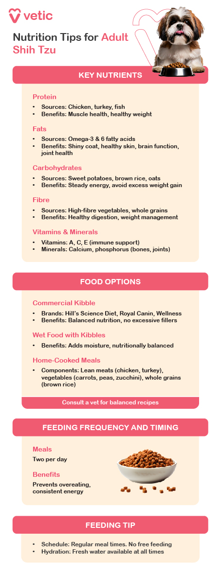 The infographic from "vetic" provides comprehensive nutrition tips for adult Shih Tzu dogs. The content is divided into several sections, each detailing key aspects of nutrition, food options, feeding frequency, and useful tips. Key Nutrients: Protein: Sources: Chicken, turkey, fish Benefits: Supports muscle health and maintains a healthy weight Fats: Sources: Omega-3 & 6 fatty acids Benefits: Promotes a shiny coat, healthy skin, brain function, and joint health Carbohydrates: Sources: Sweet potatoes, brown rice, oats Benefits: Provides steady energy and helps avoid excess weight gain Fiber: Sources: High-fiber vegetables, whole grains Benefits: Supports healthy digestion and weight management Vitamins & Minerals: Vitamins: A, C, E (for immune support) Minerals: Calcium, phosphorus (for bone and joint health) Food Options: Commercial Kibble: Brands: Hill’s Science Diet, Royal Canin, Wellness Benefits: Offers balanced nutrition with no excessive fillers Wet Food with Kibbles: Benefits: Adds moisture and is nutritionally balanced Home-Cooked Meals: Components: Lean meats (chicken, turkey), vegetables (carrots, peas, zucchini), whole grains (brown rice) Note: Consult a vet for balanced recipes Feeding Frequency and Timing: Meals: Two per day Benefits: Prevents overeating and provides consistent energy Feeding Tips: Schedule: Maintain regular meal times and avoid free feeding Hydration: Ensure fresh water is available at all times This infographic is an excellent resource for Shih Tzu owners to ensure their pets receive proper nutrition and care.