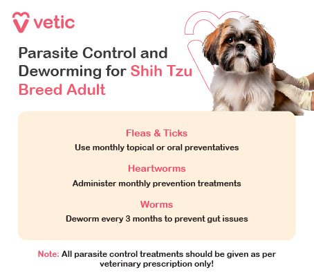 The image is an informational poster from "vetic" about grooming and dental care for adult Shih Tzu dogs. It includes grooming tips and dental care advice, with images of a Shih Tzu being groomed and having its teeth brushed. Grooming Tips: Shedding: Dense double coat; shedding increases in spring & fall. Brushing: 2-3 times weekly with a slicker or deshedding tool. Bathing: Every 2-3 months with mild dog shampoo. Ear Cleaning: Weekly to prevent infection. Nail Trimming: Every 3-4 weeks to avoid discomfort. Dental Care: Brush teeth 2-3 times/week with dog-specific toothpaste. Prevents plaque buildup, gum disease, and supports heart health.