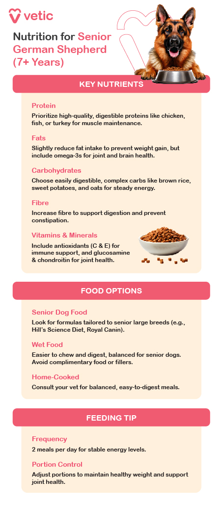 Dietary Needs for Senior German Shepherds Senior German Shepherds need a well-balanced diet that promotes joint health, helps manage weight, and provides the right nutrients without excess calories. Protein: High-quality animal protein remains crucial for maintaining muscle mass. Choose easily digestible proteins like chicken, turkey, or fish to support their needs. Fats: Healthy fats, including omega-3 and omega-6 fatty acids, are vital for joint health, cognitive function, and a shiny coat. Look for food with added fish oil or flaxseed oil for these benefits. Carbohydrates: Complex carbohydrates such as brown rice and oats provide steady energy without causing blood sugar spikes. They are easier on the digestive system and help regulate energy levels. Fibre: A higher fiber content supports digestion and helps control weight. Ingredients like beet pulp, sweet potatoes, and pumpkin are excellent sources of fiber. Vitamins and Minerals: Antioxidants and vitamins C and E are important for immune support, while glucosamine and chondroitin help with joint health, reducing the effects of arthritis or stiffness often seen in older dogs. Food options include commercial dry and wet food for senior german shepherd dogs, and homemade meals. they should be fed two square meals a day and portion should be adjusted according to their decreasing activity levels.