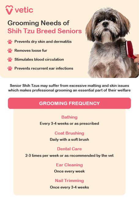 The vaccination and deworming plan for a senior Beagle includes the following: When it's been 1 year since the last vaccination, the Beagle should receive the Kennel Cough and Anti-Rabies vaccines to boost antibodies against kennel cough and rabies. When it's been 1 year since the last vaccination, the Beagle should receive the DHPPiL and Canine Corona vaccines to boost antibodies against distemper, parvo, hepatitis, para-influenza, leptospirosis, and canine corona diseases. All repeat vaccines are mandatory for the dog's immunity against infectious diseases. Most vaccines are effective for 1 year and require a booster dose after 1 year. Additionally, the Beagle should be dewormed every 3 months unless the veterinarian recommends otherwise. Consult the veterinarian for heartworm preventative medications for the senior Beagle.