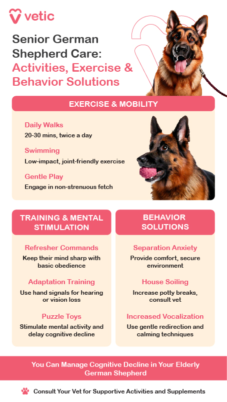 Caring for Senior German Shepherds Physical Activities: Gentle exercise is essential to maintain joint health and mental well-being. Opt for 20–30 minutes of low-impact walks daily or shorter, frequent strolls. Swimming is an excellent low-impact activity to build muscle without straining joints. Gentle stretching, massages, and low-impact play sessions with soft toys can also help. Training and Mental Stimulation: Keep your dog mentally engaged with obedience refreshers, puzzle toys, or scent games. Positive reinforcement and leash training ensure safe and enjoyable walks. Behavior Changes and Solutions: Aging may lead to anxiety, aggression, or house soiling. Address these with patience, calming aids, and regular bathroom breaks. Provide a cozy bed, a calm environment, and maintain a consistent routine to reduce stress. Love and Adaptation: Tailor activities to your dog's needs, ensure regular vet checkups, and offer plenty of affection to support their emotional and physical health.