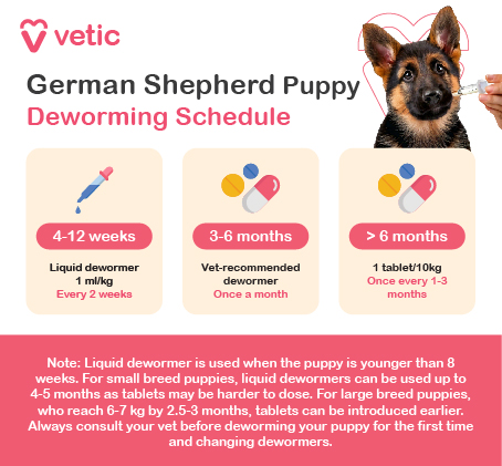 Puppies should be dewormed regularly, starting at 2-3 weeks of age and continuing every few weeks until 12 weeks. Liquid Dewormers for German Shepherd Puppies Conditions: Treats roundworms, hookworms, and whipworms. Dose: 1 ml per 1 kg of body weight. Age Range: Suitable for puppies from 2 weeks of age. Frequency: Deworm at 2, 4, 6, 8, 10, and 12 weeks of age, then every 3 months for maintenance. Tablet Dewormers for German Shepherd Puppy - Conditions: Treats roundworms, hookworms, tapeworms, and whipworms. Dose: 1 tablet per 10 kg of body weight (tablet strength varies by weight). Age Range: Suitable for puppies older than 3 weeks. Frequency: Deworm at 2, 4, 6, 8, 10, and 12 weeks of age, then every 3 months.