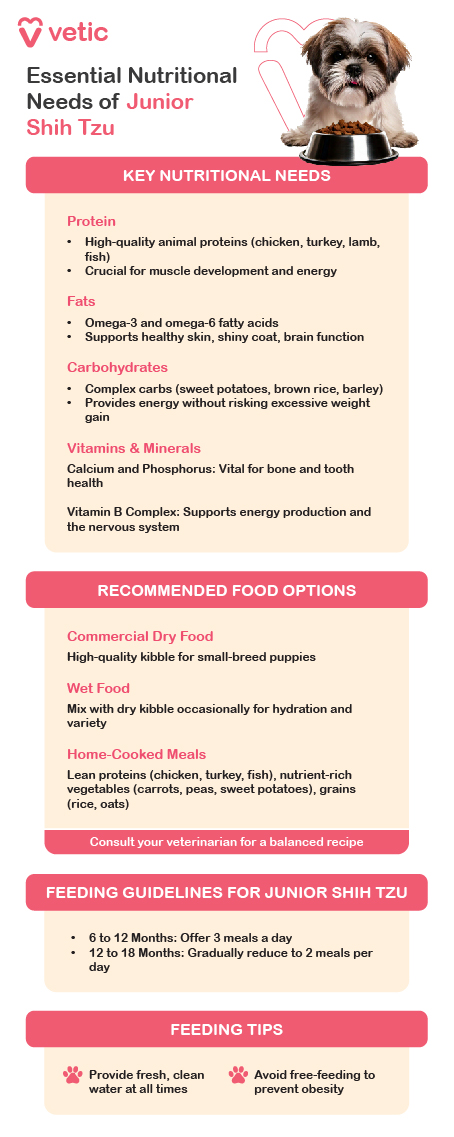 an informational guide from Vetic about the essential nutritional needs of Junior Shih Tzu dogs. It includes key nutritional needs, recommended food options, feeding guidelines, and feeding tips. Key Nutritional Needs: Protein: High-quality animal proteins (chicken, turkey, lamb, fish) Crucial for muscle development and energy Fats: Omega-3 and omega-6 fatty acids Supports healthy skin, shiny coat, brain function Carbohydrates: Complex carbs (sweet potatoes, brown rice, barley) Provides energy without risking excessive weight gain Vitamins & Minerals: Calcium and Phosphorus: Vital for bone and tooth health Vitamin B Complex: Supports energy production and the nervous system Recommended Food Options: Commercial Dry Food: High-quality kibble for small-breed puppies Wet Food: Mix with dry kibble occasionally for hydration and variety Home-Cooked Meals: Lean proteins (chicken, turkey, fish), nutrient-rich vegetables (carrots, peas, sweet potatoes), grains (rice, oats) Consult your veterinarian for a balanced recipe Feeding Guidelines for Junior Shih Tzu: 6 to 12 Months: Offer 3 meals a day 12 to 18 Months: Gradually reduce to 2 meals per day Feeding Tips: Provide fresh, clean water at all times Avoid free-feeding to prevent obesity This image is a comprehensive guide to help pet owners ensure their Junior Shih Tzu dogs receive the proper nutrition for their age and health needs. Feel free to share more images if you need further descriptions!