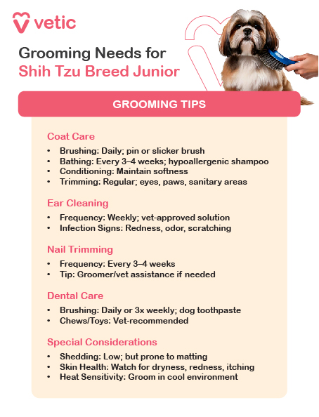 The image is an informational poster from "Vetic" about grooming needs for Shih Tzu Breed Junior dogs. It includes a picture of a Shih Tzu being brushed and provides detailed grooming tips divided into several categories: Coat Care, Ear Cleaning, Nail Trimming, Dental Care, and Special Considerations. Transcription of the text in the image: Grooming Needs for Shih Tzu Breed Junior GROOMING TIPS Coat Care Brushing: Daily; pin or slicker brush Bathing: Every 3-4 weeks; hypoallergenic shampoo Conditioning: Maintain softness Trimming: Regular; eyes, paws, sanitary areas Ear Cleaning Frequency: Weekly; vet-approved solution Infection Signs: Redness, odor, scratching Nail Trimming Frequency: Every 3-4 weeks Tip: Groomer/vet assistance if needed Dental Care Brushing: Daily or 3x weekly; dog toothpaste Chews/Toys: Vet-recommended Special Considerations Shedding: Low; but prone to matting Skin Health: Watch for dryness, redness, itching Heat Sensitivity: Groom in cool environment" Feel free to share more images if you need further descriptions!