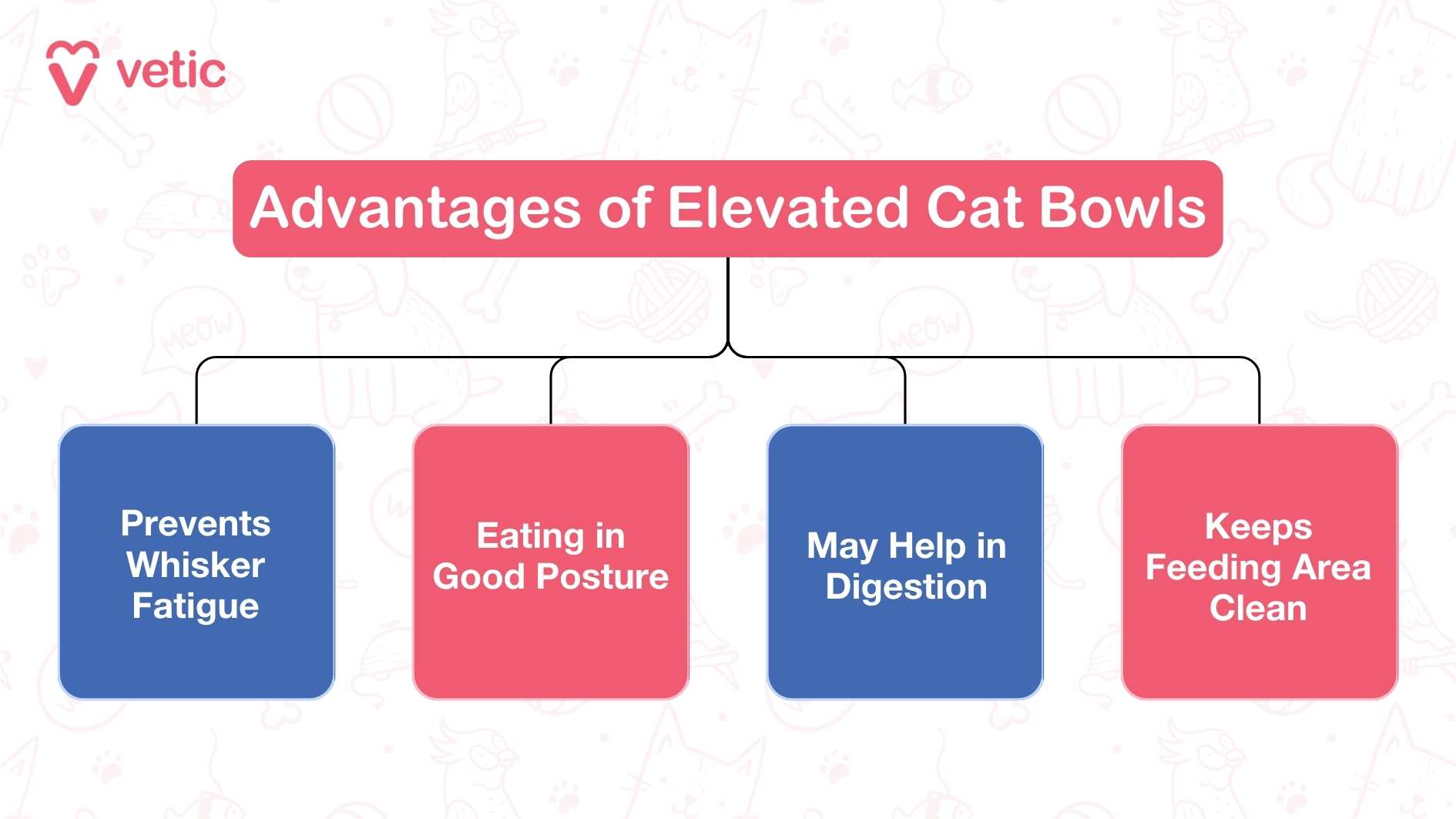 Advantages of Elevated Cat Bowls The image is an infographic from "Vetic" highlighting the advantages of elevated cat bowls. The title is in a pink box at the top, reading "Advantages of Elevated Cat Bowls." Below the title, there are four colored boxes connected by lines, each listing a different advantage. The advantages are: Prevents Whisker Fatigue Eating in Good Posture May Help in Digestion Keeps Feeding Area Clean