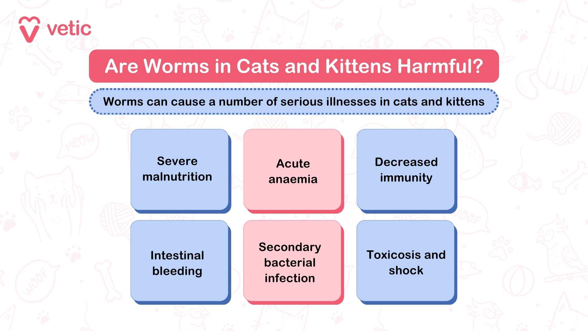 Are Worms in Cats and Kittens Harmful? - Vetic This image is an informational graphic from "Vetic" discussing the harmful effects of worms in cats and kittens. The title of the graphic is "Are Worms in Cats and Kittens Harmful?" and it states that "Worms can cause a number of serious illnesses in cats and kittens." The graphic lists six specific illnesses that worms can cause: Severe malnutrition Acute anaemia Decreased immunity Intestinal bleeding Secondary bacterial infection Toxicosis and shock This visual guide highlights the serious health risks associated with worms in cats, emphasizing the importance of timely deworming and veterinary care.