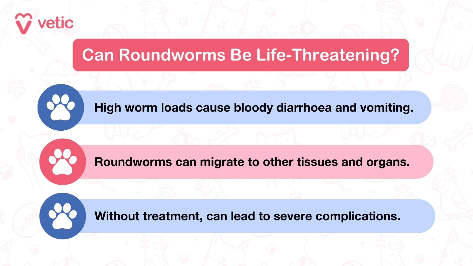 The image is an informational graphic from "Vetic" with the title "Can Roundworms Be Life-Threatening?" It contains three points about the dangers of roundworms: High worm loads cause bloody diarrhea and vomiting. Roundworms can migrate to other tissues and organs. Without treatment, can lead to severe complications.