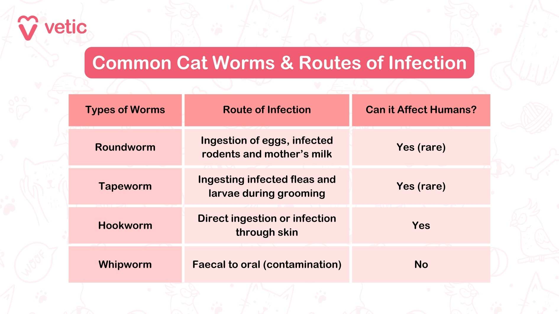 Common Worms in Cats & Routes of Infection This is an informational chart titled "Common Cat Worms & Routes of Infection." It is divided into three columns: "Types of Worms in Cats," "Route of Infection," and "Can it Affect Humans?" The chart lists four types of worms that can infect cats and provides their routes of infection and whether they can affect humans. This visual guide is essential for understanding how worms in cats can be contracted and their potential impact on humans.