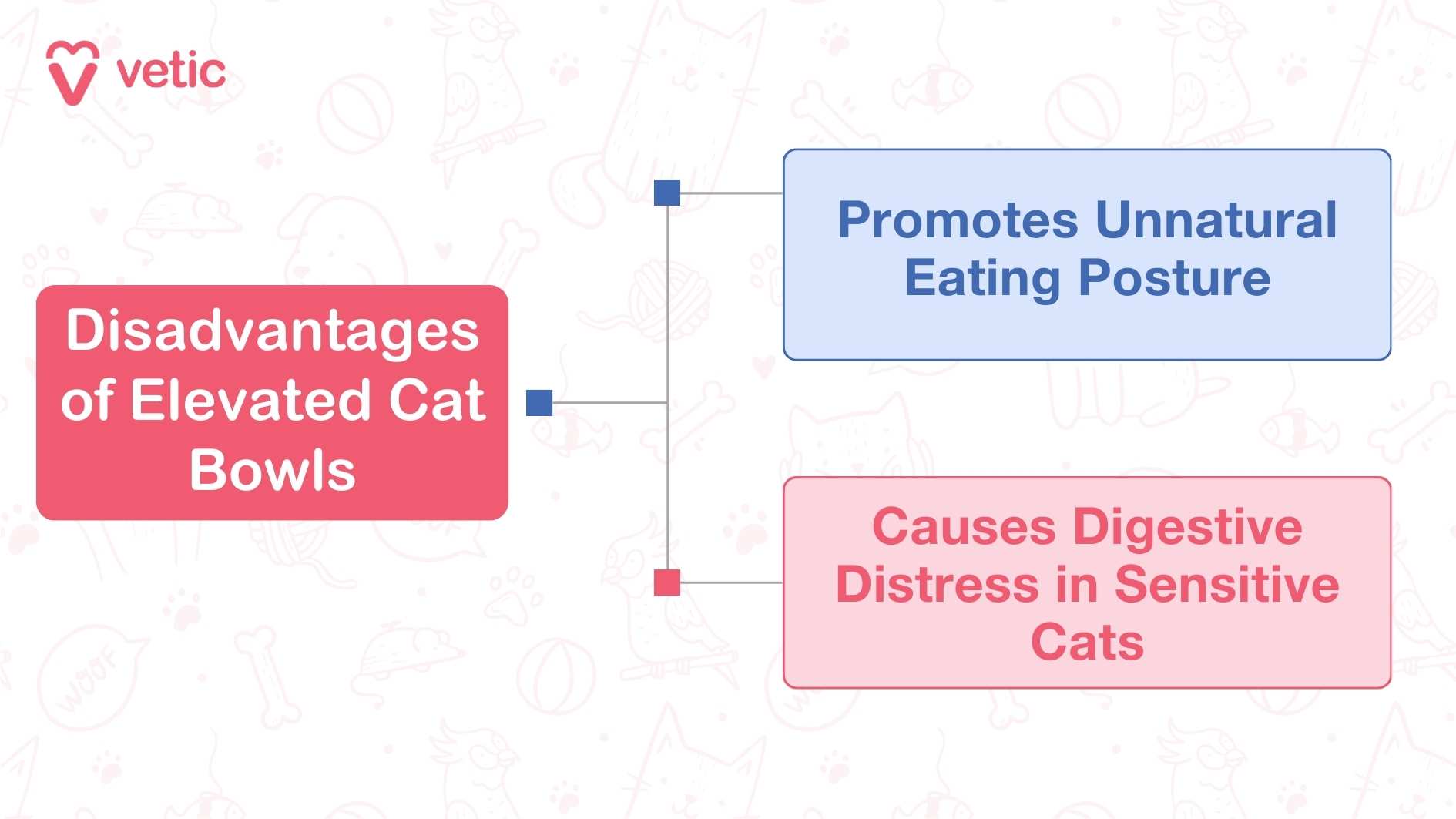 Disadvantages of Elevated Cat Bowls The image is an infographic from "Vetic" discussing the disadvantages of elevated cat bowls. It is divided into three sections connected by lines. The main section, in red, states "Disadvantages of Elevated Cat Bowls." Two connected sections provide specific disadvantages: one in blue stating "Promotes Unnatural Eating Posture" and another in pink stating "Causes Digestive Distress in Sensitive Cats." The background features faint illustrations of various pets and pet-related items.