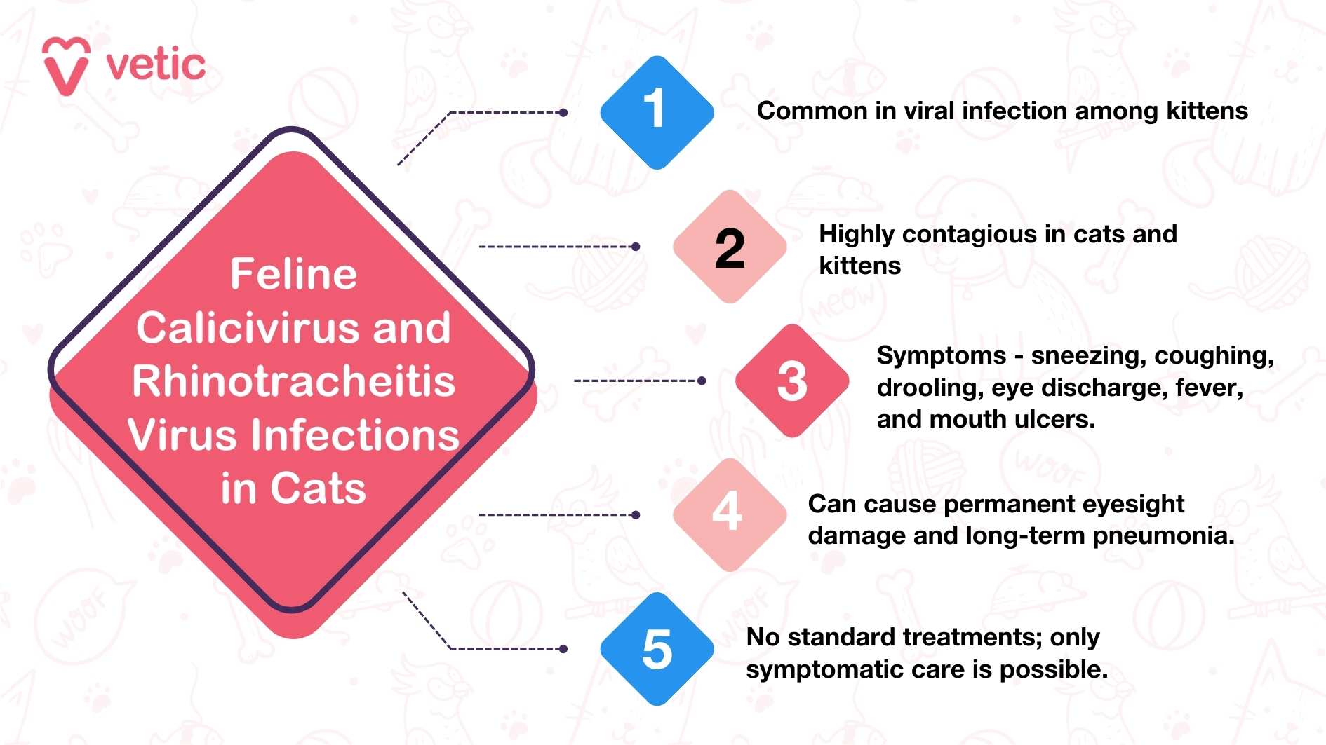 The image is an informational graphic from "Vetic" about Feline Calicivirus and Rhinotracheitis Virus infections in cats. The design is clean and professional, with the text organized into distinct bullet points for easy readability. The background color is soft and soothing, enhancing the overall visual appeal. The graphic explains that Feline Calicivirus and Rhinotracheitis Virus infections are common viral infections among kittens. It highlights the highly contagious nature of these infections in both cats and kittens. The symptoms include sneezing, coughing, drooling, eye discharge, fever, and mouth ulcers. The graphic also notes that these infections can cause permanent eyesight damage and long-term pneumonia in cats. Additionally, it mentions that there are no standard treatments for these infections, and only symptomatic care is possible. This graphic provides important information about Feline Calicivirus and Rhinotracheitis Virus infections in cats, emphasizing their commonality, symptoms, contagiousness, potential long-term effects, and the lack of standard treatments.