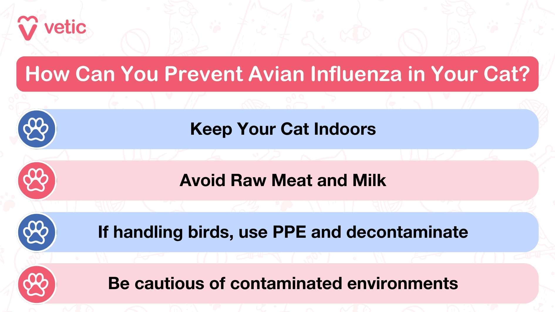 The infographic is titled "Can Avian Influenza in Cats Make Humans Sick?" and is produced by "Vetic". The central query it explores is whether avian influenza in cats poses a risk to human health. The graphic is visually structured to present three main points clearly and concisely. Firstly, the infographic asserts that there are no reported cases of avian influenza being transmitted from cats to humans. This point reassures readers by highlighting the absence of documented instances of such transmission. Secondly, the infographic acknowledges that, although the risk of transmission is very low, it is not zero. This statement underscores the need for cautiousness and awareness, despite the minimal risk involved. Lastly, the infographic emphasizes that individuals with compromised immune systems are at a higher risk. This is a crucial piece of information, as it advises people with weakened immune defenses to be more vigilant about potential health risks. The overall purpose of this infographic is to inform the audience that while the likelihood of avian influenza spreading from cats to humans is extremely low, it remains important to take precautions, especially for those with fragile immune systems.