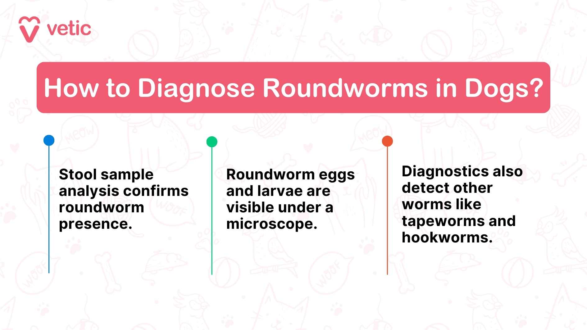 The image is an informational graphic from "Vetic" about diagnosing roundworms in dogs. It features a clear and visually appealing layout with three main diagnostic points highlighted. Each point is supported by relevant visuals and concise text for easy understanding. OCR Text Included: Stool Sample Analysis: Confirms roundworm presence. Microscopic Visibility: Roundworm eggs and larvae are visible under a microscope. Comprehensive Diagnostics: Detects other worms like tapeworms and hookworms.