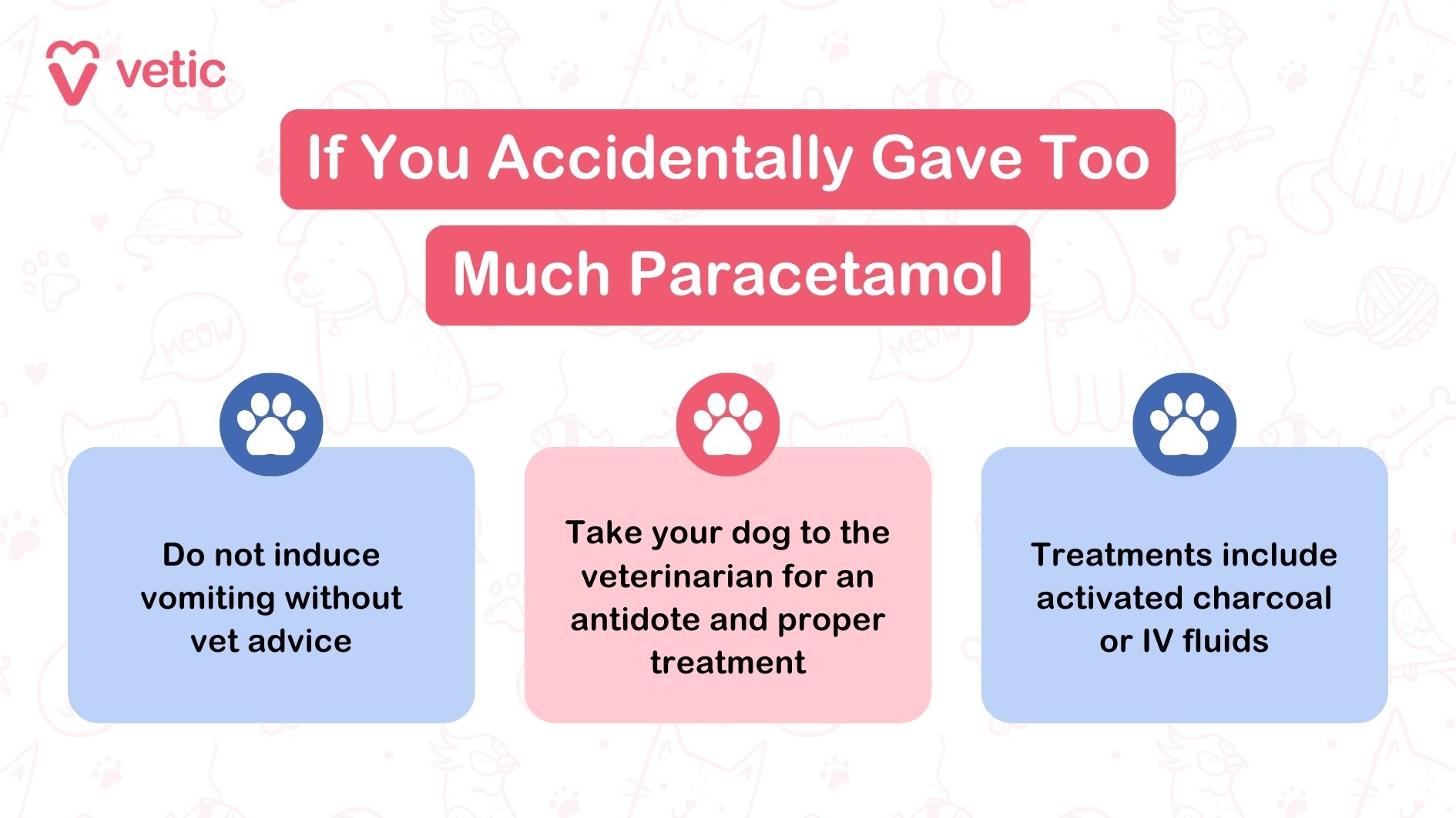 The image from "Vetic" serves as an informational graphic about what steps to take if a dog is accidentally given too much paracetamol. The graphic is divided into three main sections which provide the following advice: "Do not induce vomiting without vet advice" - Emphasizing that pet owners should not attempt to make their dog vomit after giving paracetamol to dogs, without consulting a veterinarian first. "Take your dog to the veterinarian for an antidote and proper treatment" - Highlighting the importance of seeking professional veterinary help immediately after the accidental administration of paracetamol to dogs. "Treatments include activated charcoal or IV fluids" - Outlining some of the possible treatments that may be used by veterinarians, such as activated charcoal or intravenous fluids, to help mitigate the effects of paracetamol toxicity in dogs. The image is an essential guide for pet owners, emphasizing the critical steps to take and the importance of professional veterinary intervention when dealing with the consequences of giving paracetamol to dogs.