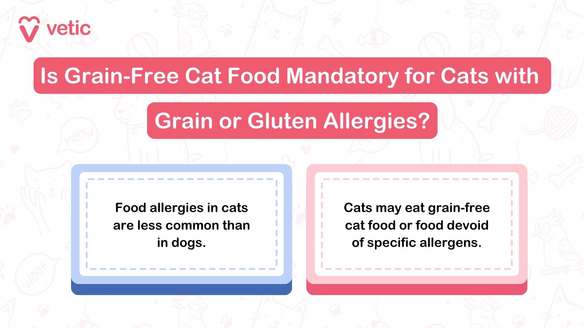 The image is an informational graphic from "Vetic" discussing whether grain-free cat food is mandatory for cats with grain or gluten allergies. The graphic is divided into two sections: The left section, with a blue border, states: "Food allergies in cats are less common than in dogs." The right section, with a pink border, states: "Cats may eat grain-free cat food or food devoid of specific allergens." The main question posed at the top of the image is: "Is Grain-Free Cat Food Mandatory for Cats with Grain or Gluten Allergies?"