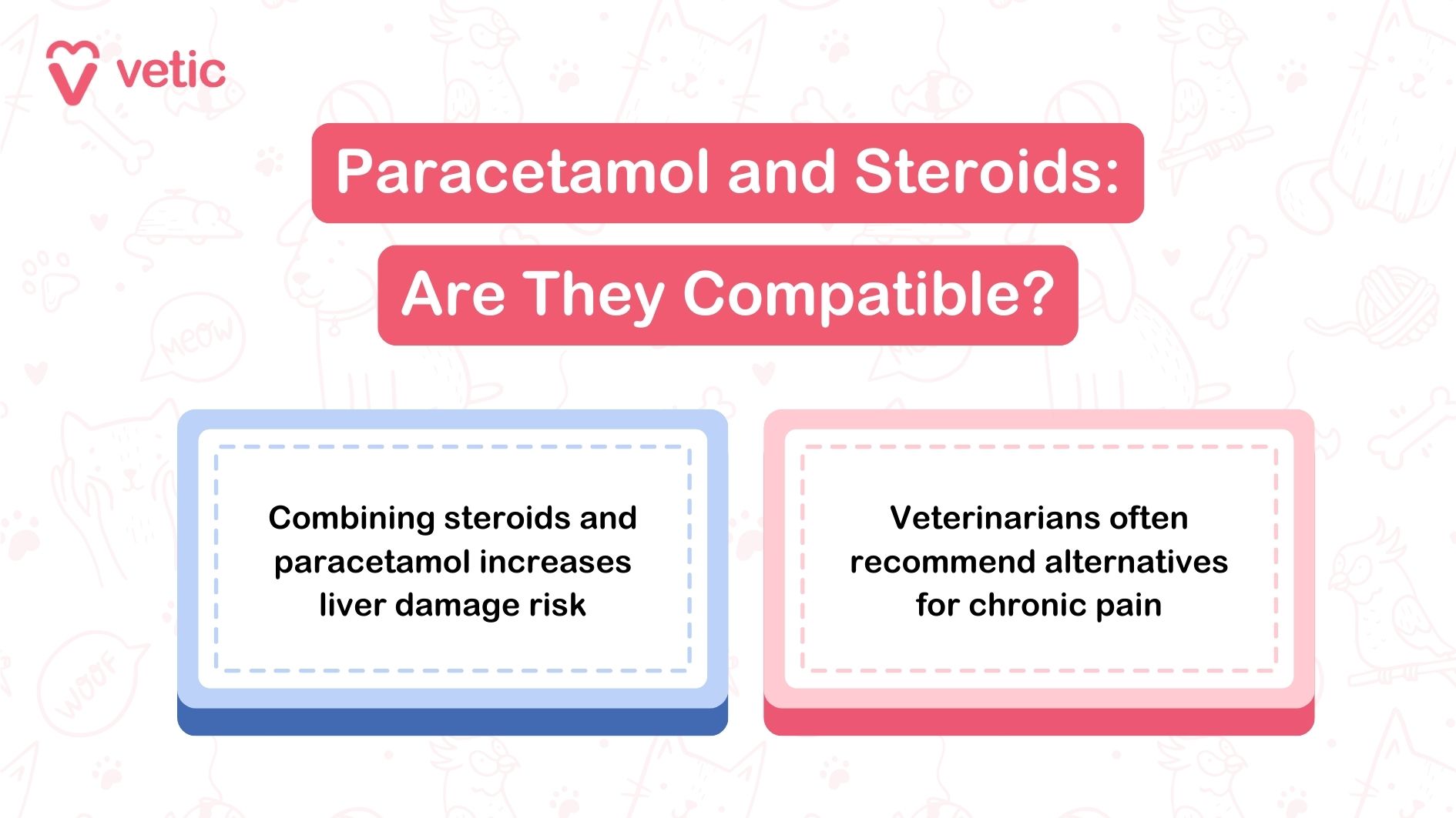 The image is a graphic from "vetic" discussing the compatibility of paracetamol and steroids. The main title in the image reads "Paracetamol and Steroids: Are They Compatible?" Below the title, there are two boxes with information. The box on the left, with a blue border, states, "Combining steroids and paracetamol increases liver damage risk." The box on the right, with a pink border, states, "Veterinarians often recommend alternatives for chronic pain." The background of the image features faint illustrations of animals and pet-related items.