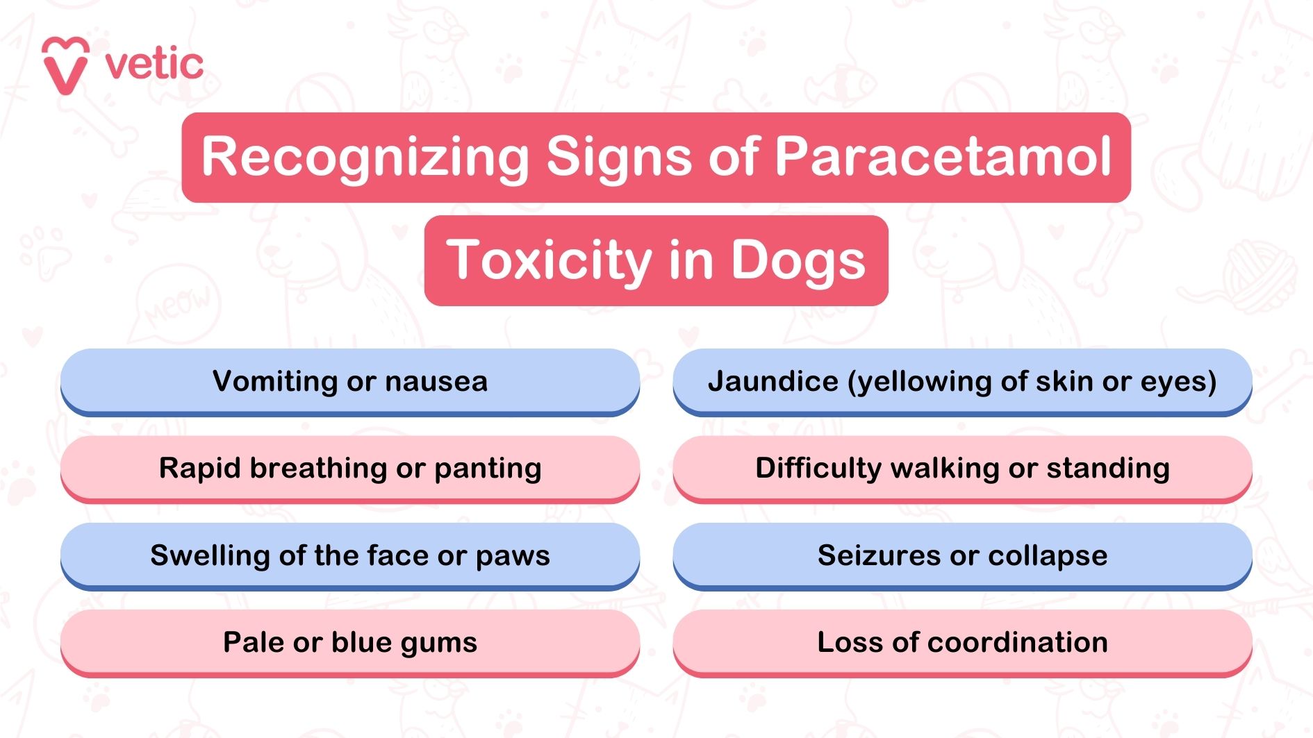 Here's a detailed description of the image you've uploaded: The image is an informational graphic from "Vetic" about recognizing signs of paracetamol toxicity in dogs. It lists various symptoms that may indicate toxicity. The symptoms are organized in two columns, each with four items. The symptoms listed are: Vomiting or nausea Rapid breathing or panting Swelling of the face or paws Pale or blue gums Jaundice (yellowing of skin or eyes) Difficulty walking or standing Seizures or collapse Loss of coordination The graphic emphasizes the importance of recognizing these symptoms and seeking immediate veterinary help if they are observed after giving paracetamol to dogs. The background is simple, with an illustration of a dog, making it clear and easy to understand for pet owners.